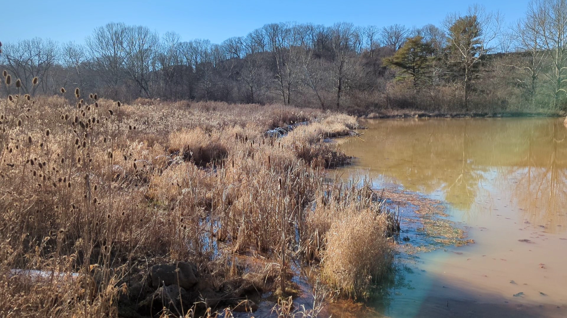 Wingfield Pines - Pittsburgh, PA
