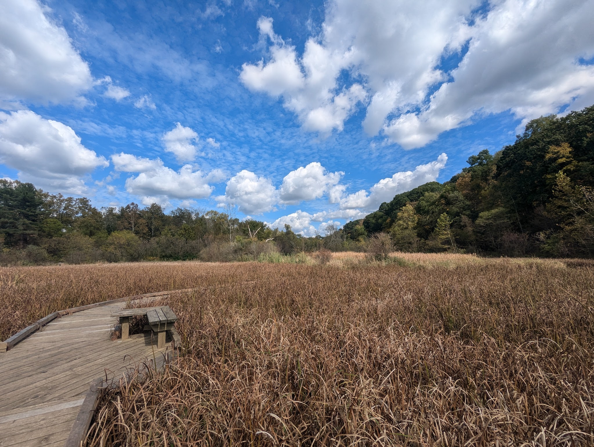 Wingfield Pines - Pittsburgh, PA