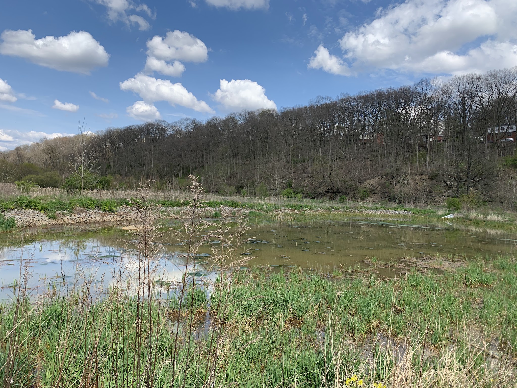 Wingfield Pines - Pittsburgh, PA