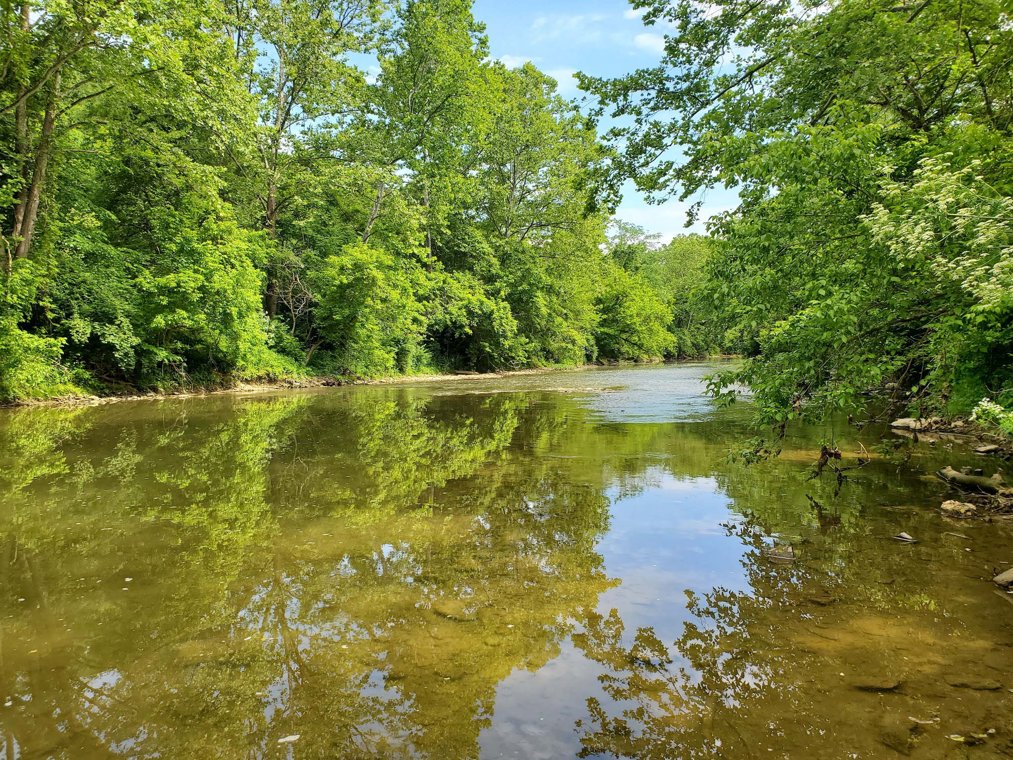 Wingfield Pines - Pittsburgh, PA