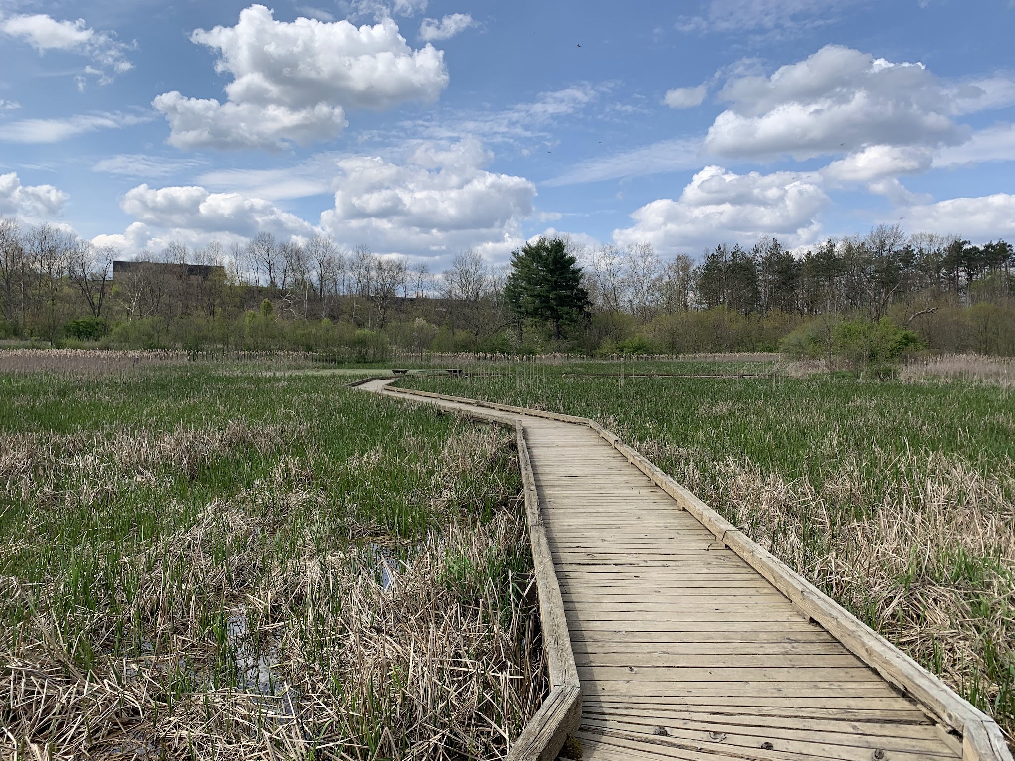 Wingfield Pines - Pittsburgh, PA