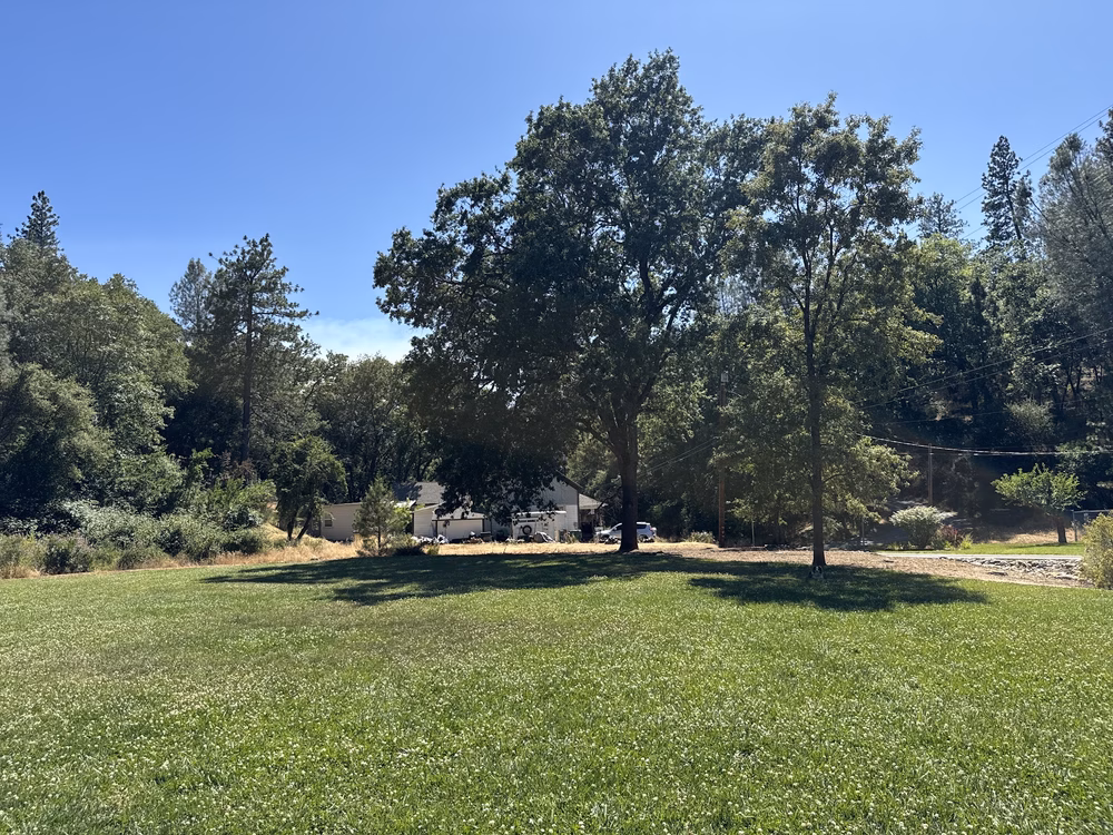 George F. Duffey Park - Placerville, CA