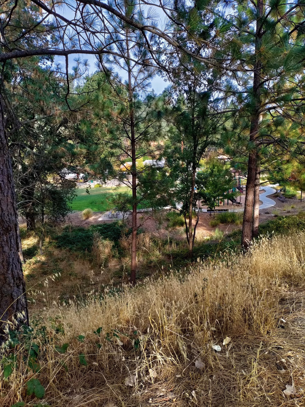 George F. Duffey Park - Placerville, CA