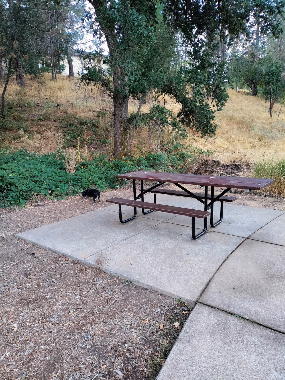 George F. Duffey Park - Placerville, CA