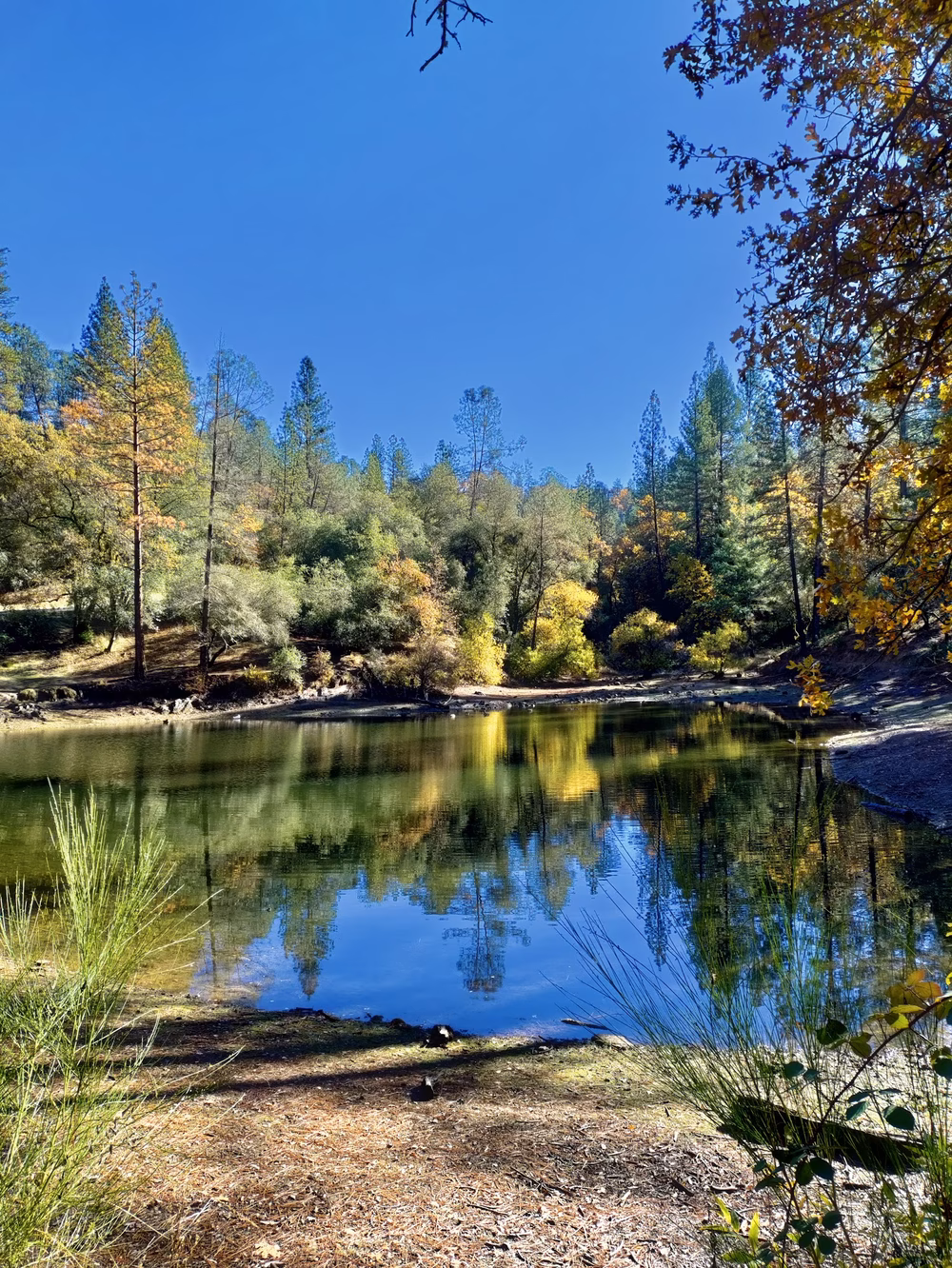 Lumsden Park - Placerville, CA