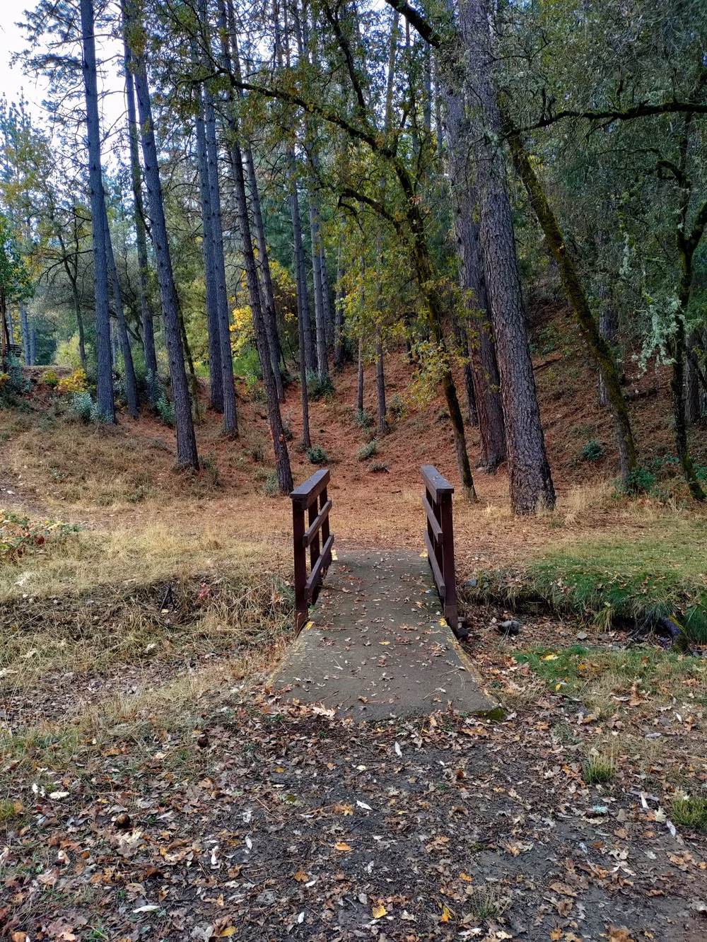 Lumsden Park - Placerville, CA