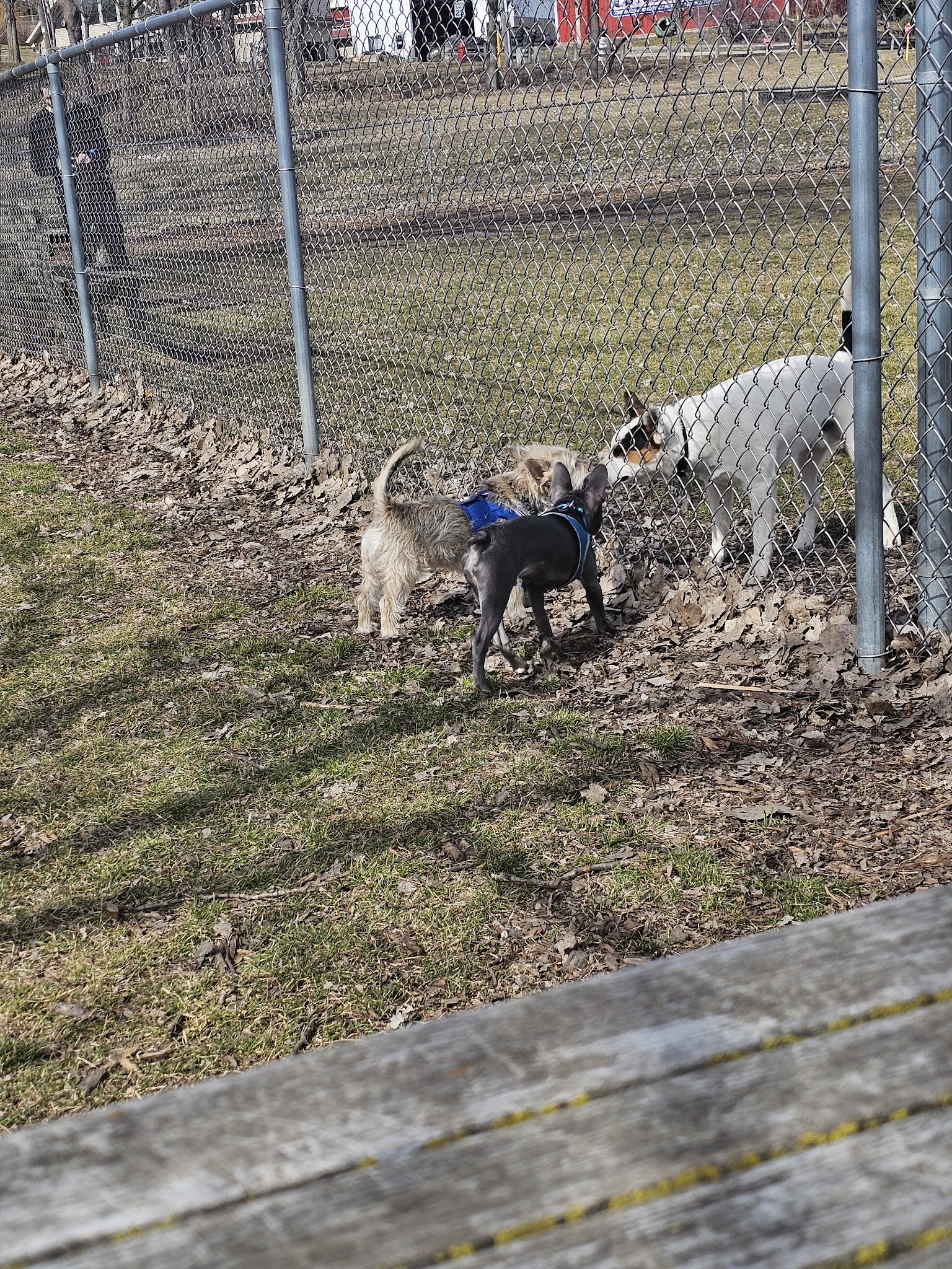 Platteville Dog Park - Platteville, WI