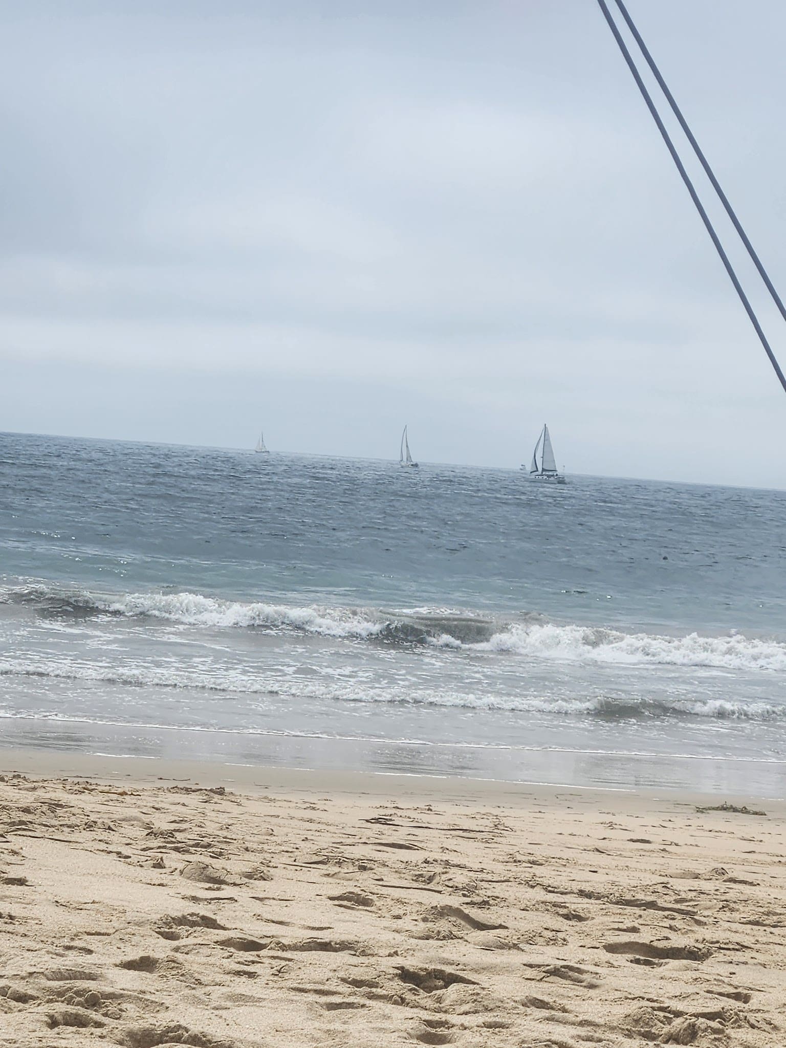 Playa Del Dog Beach - Playa Del Rey, CA