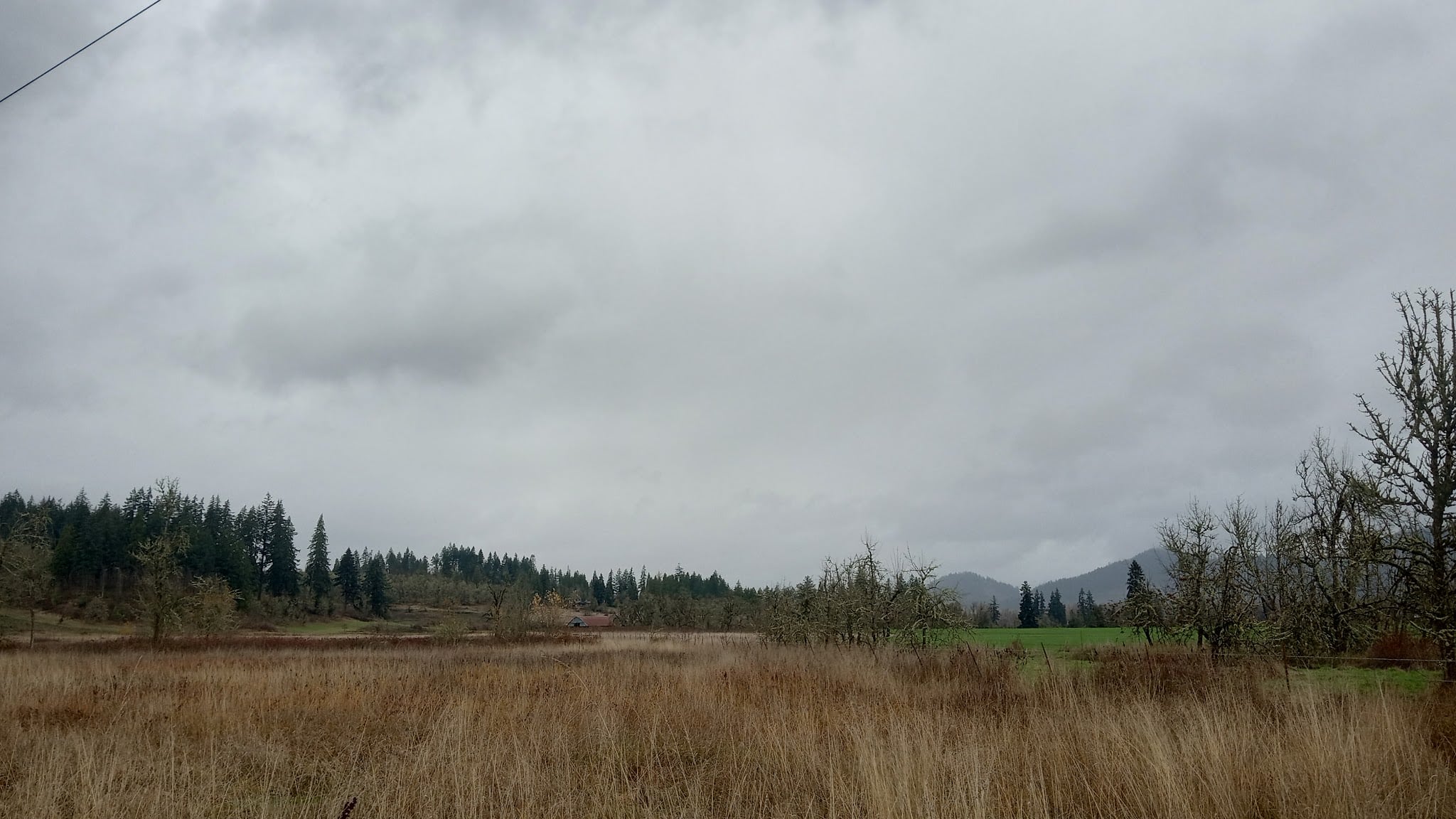 Mount Pisgah East Trailhead - Pleasant Hill, OR