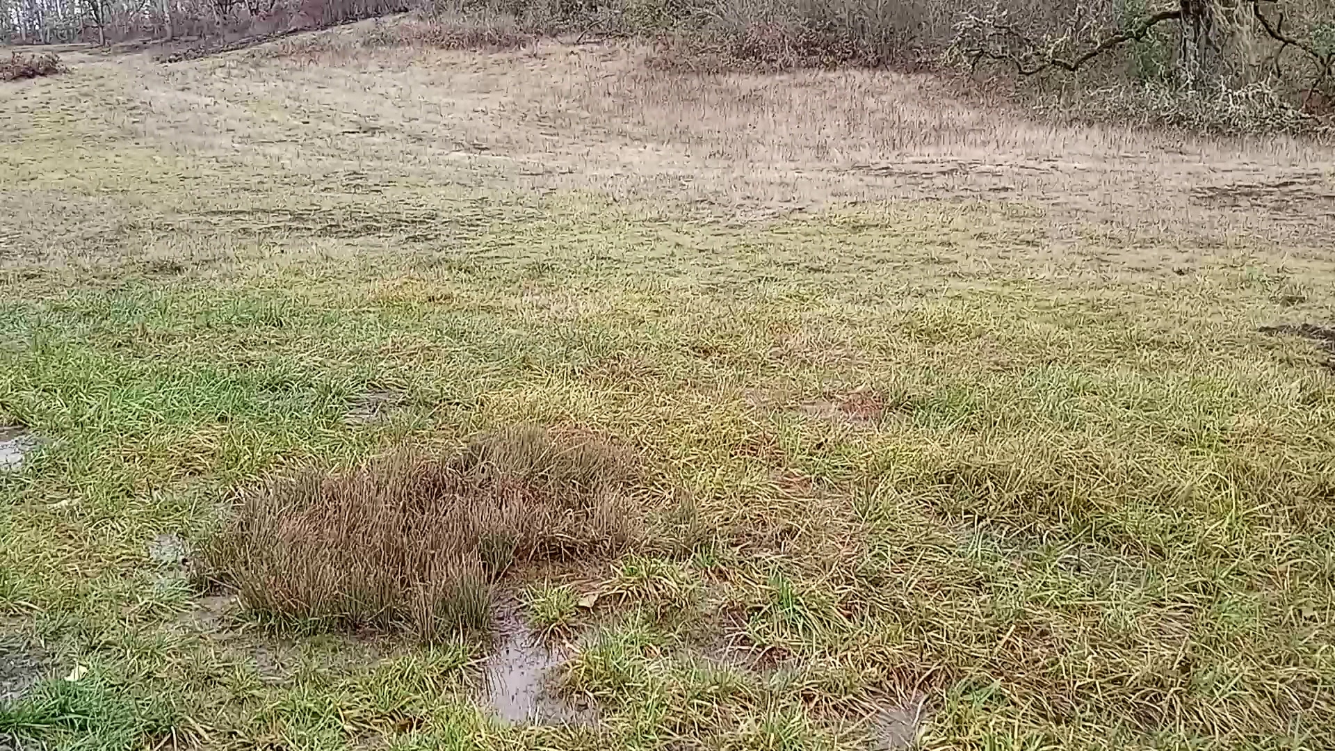 Mount Pisgah East Trailhead - Pleasant Hill, OR