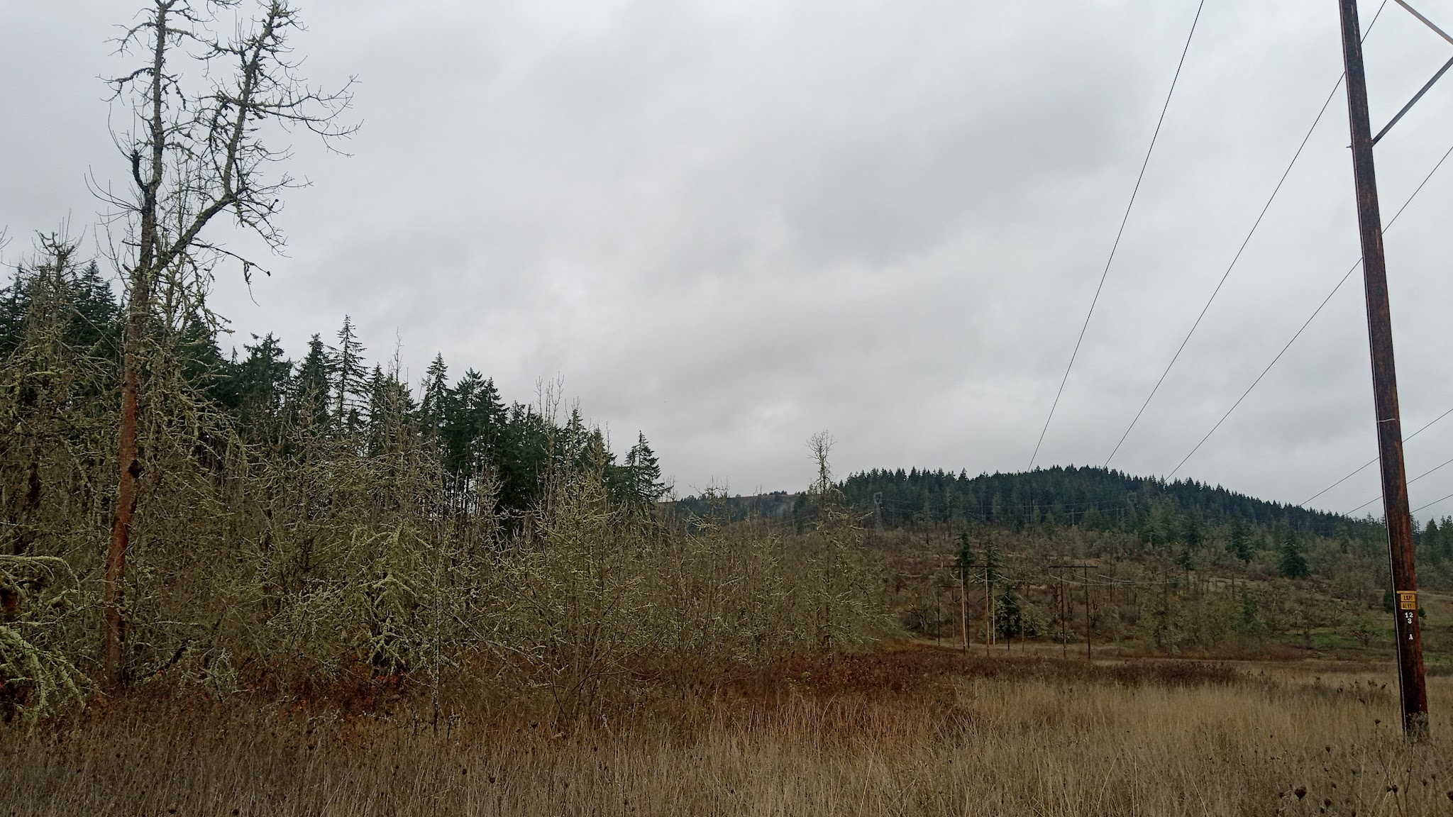 Mount Pisgah East Trailhead - Pleasant Hill, OR