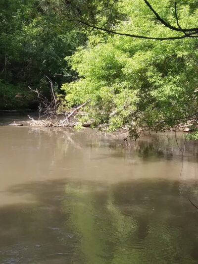 Pocatello creek - Pocatello, ID