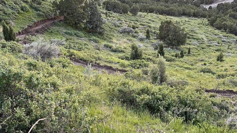 Satterfield Bike Trails - Pocatello, ID