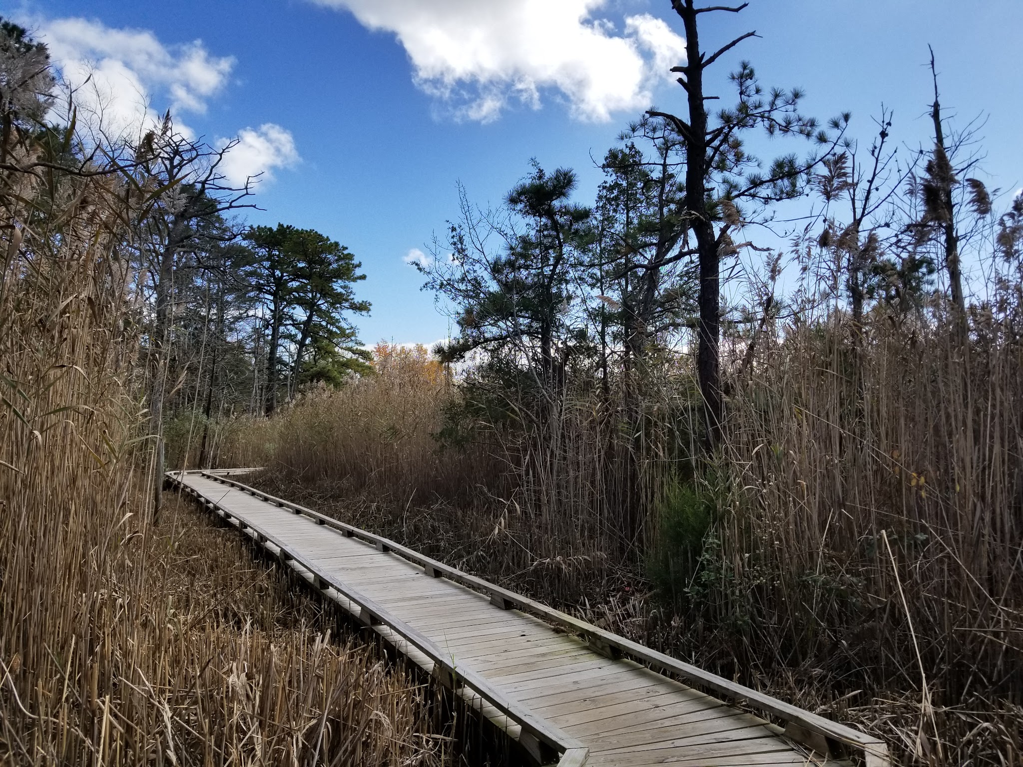 Beaver Dam Creek County Park - Point Pleasant, NJ