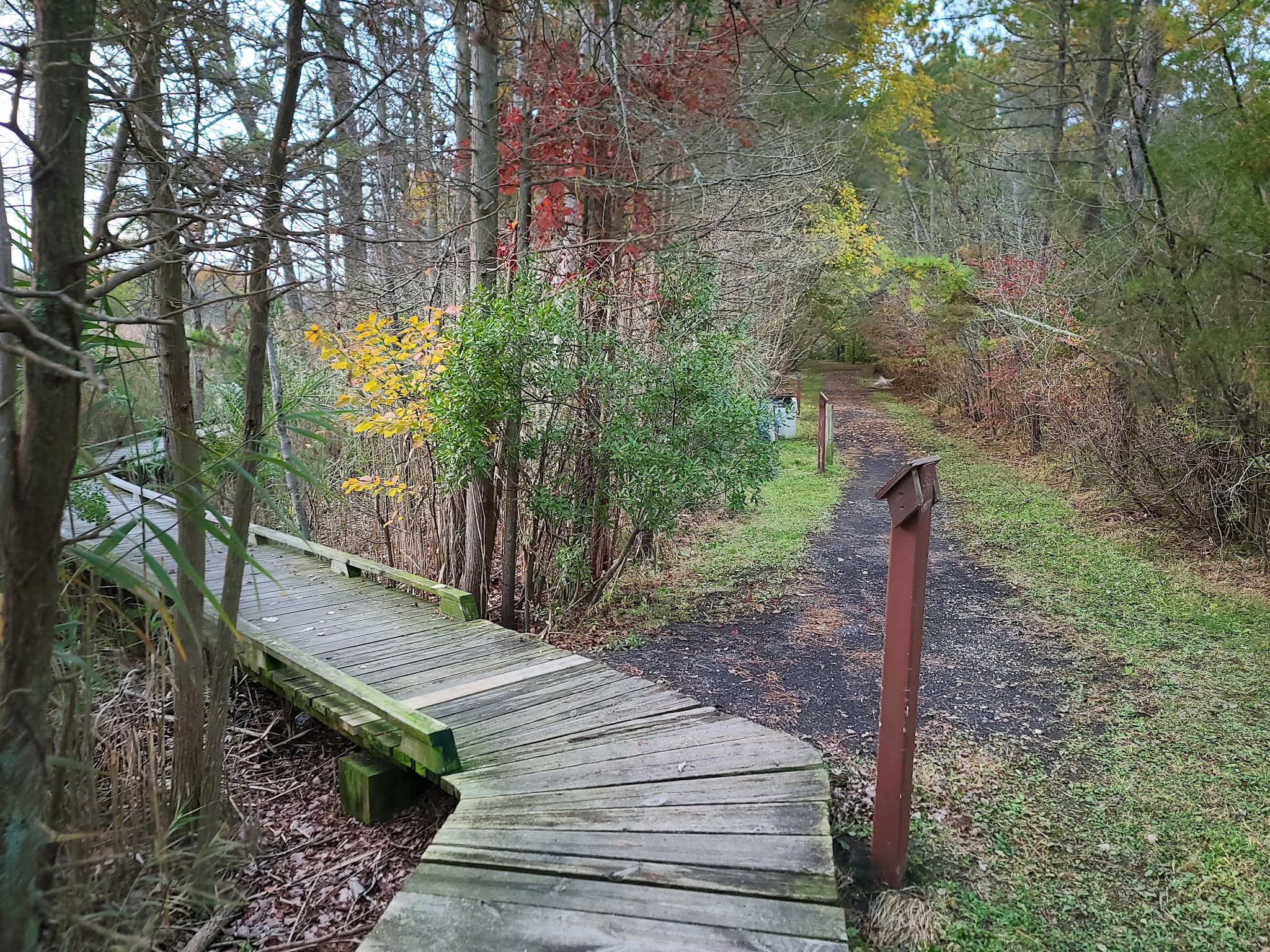 Beaver Dam Creek County Park - Point Pleasant, NJ