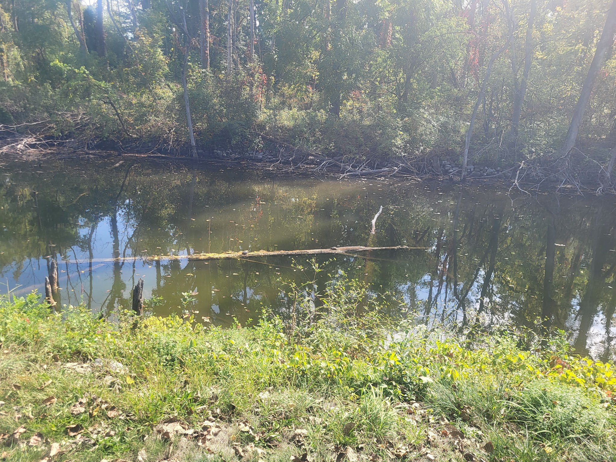 Schasel Park - Port Byron, NY