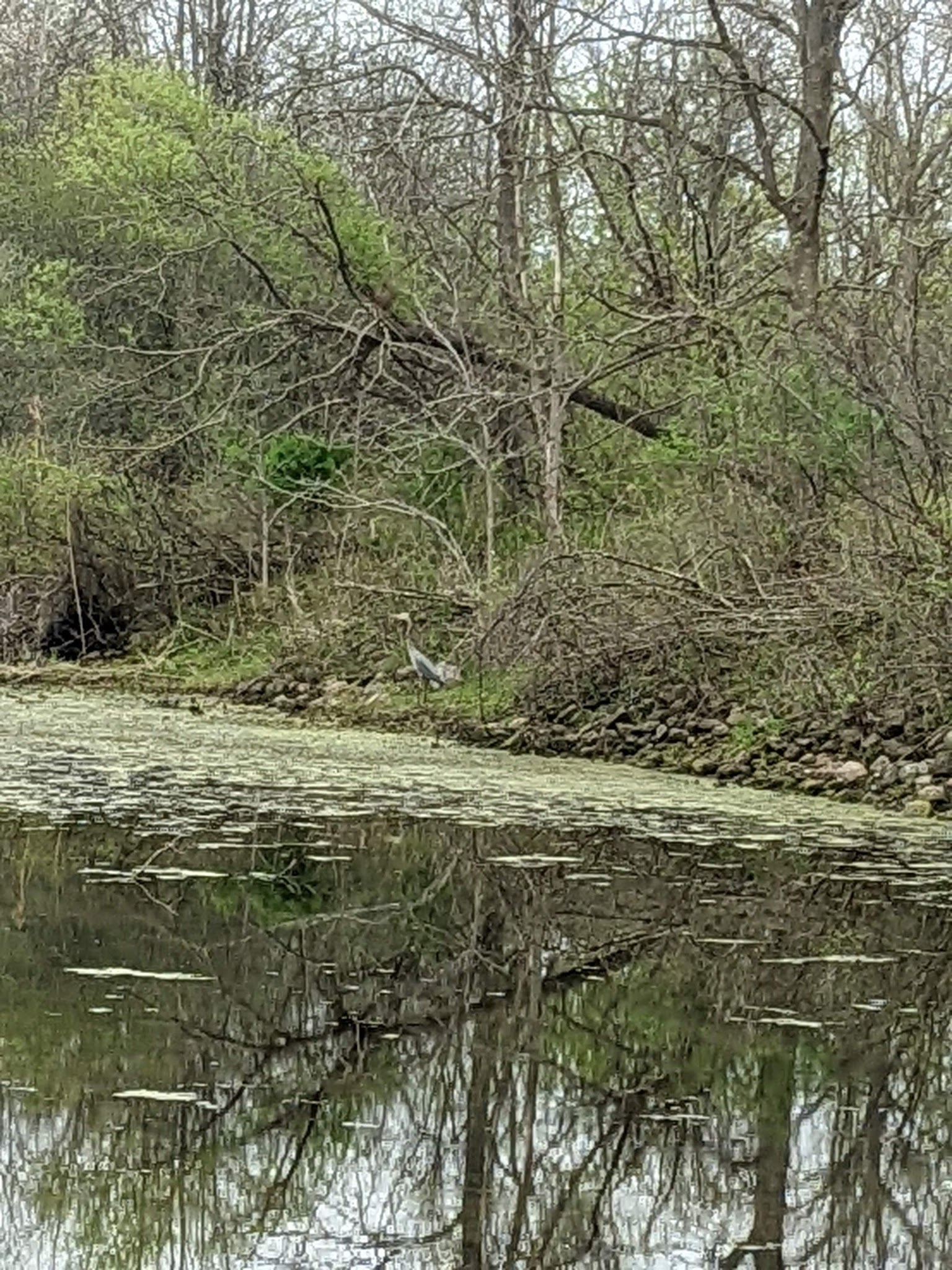 Erie Canal - Port Byron Trailhead - Port Byron, NY