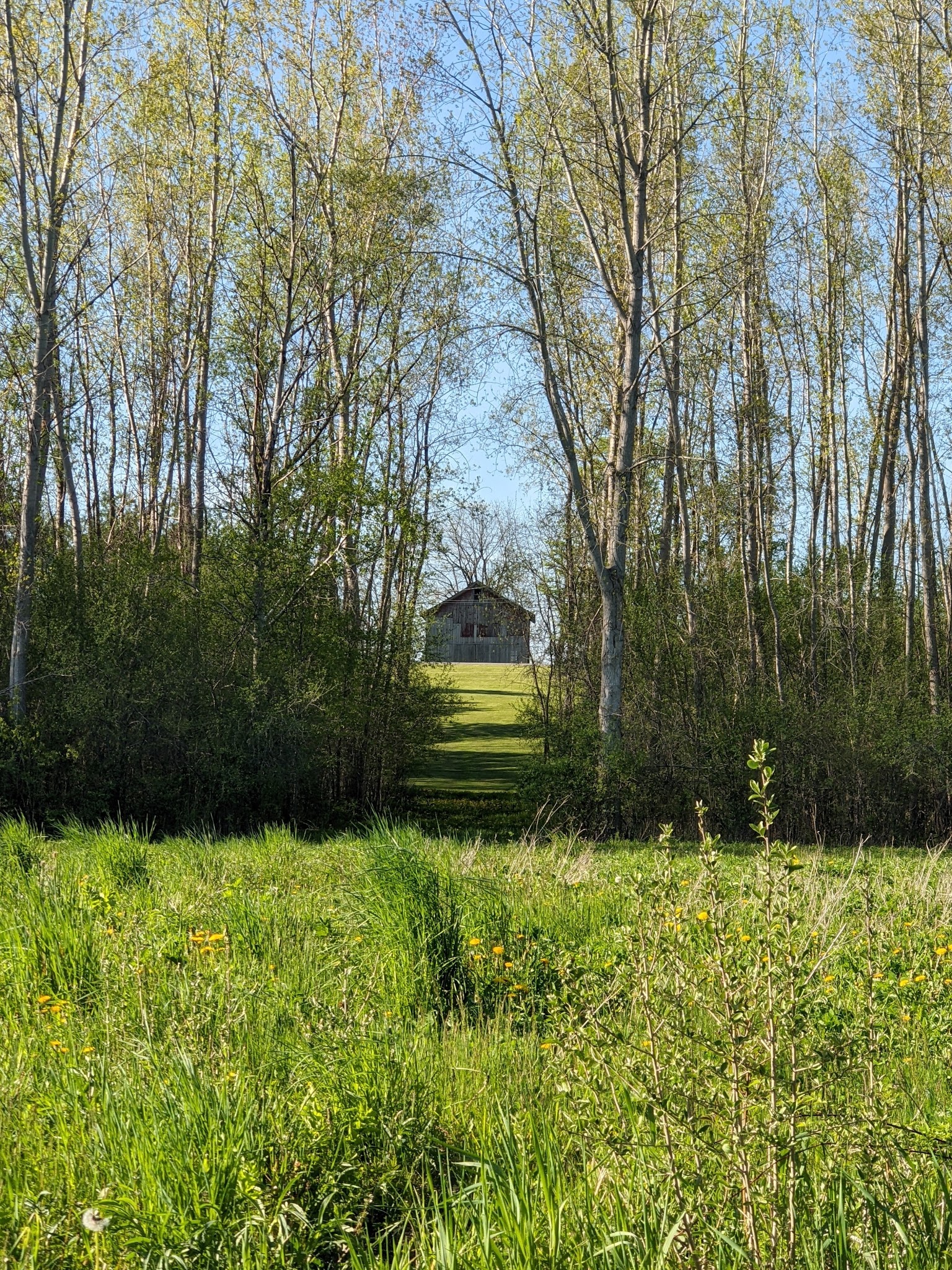 Erie Canal - Port Byron Trailhead - Port Byron, NY