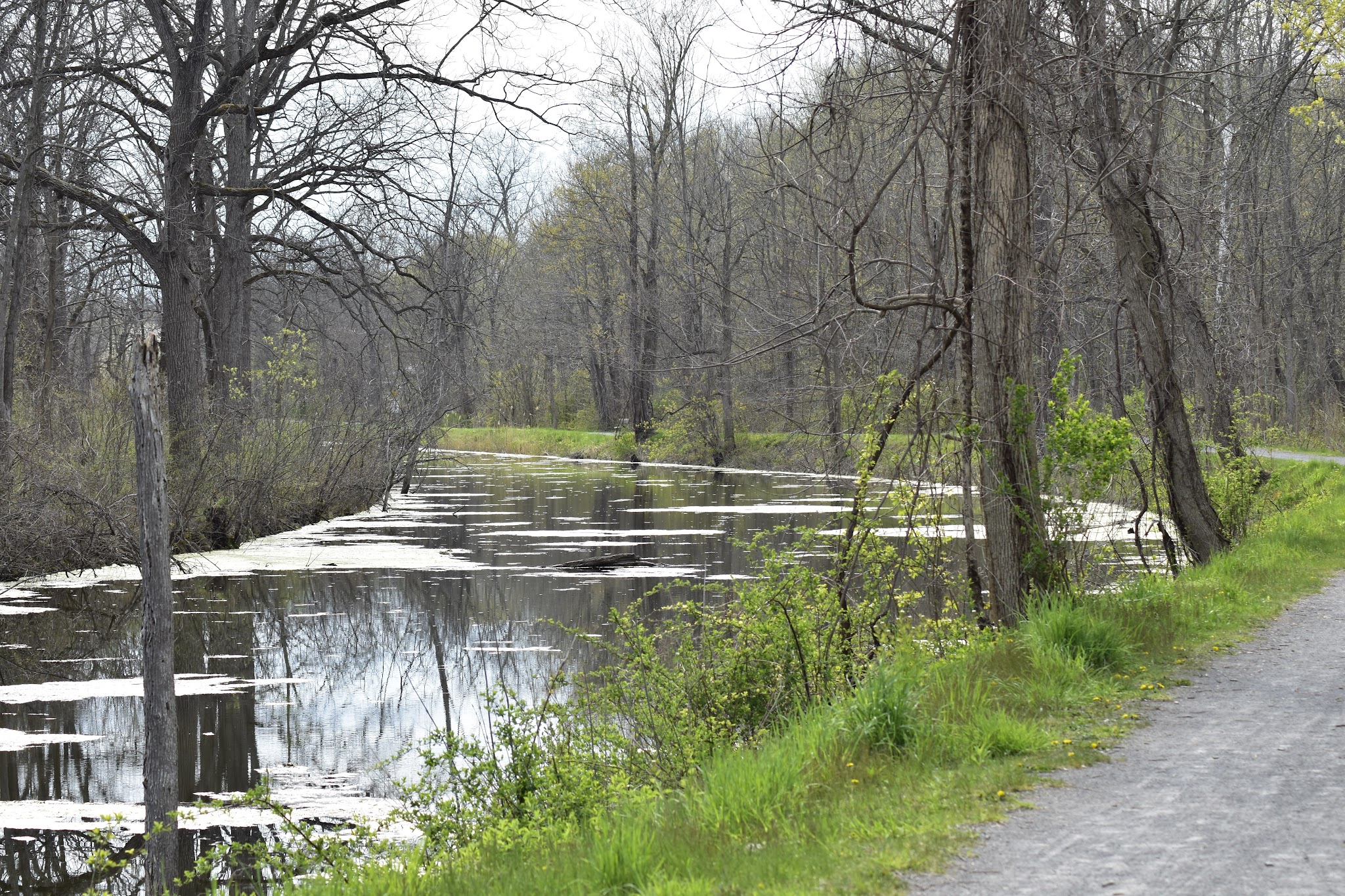 Erie Canal - Port Byron Trailhead - Port Byron, NY