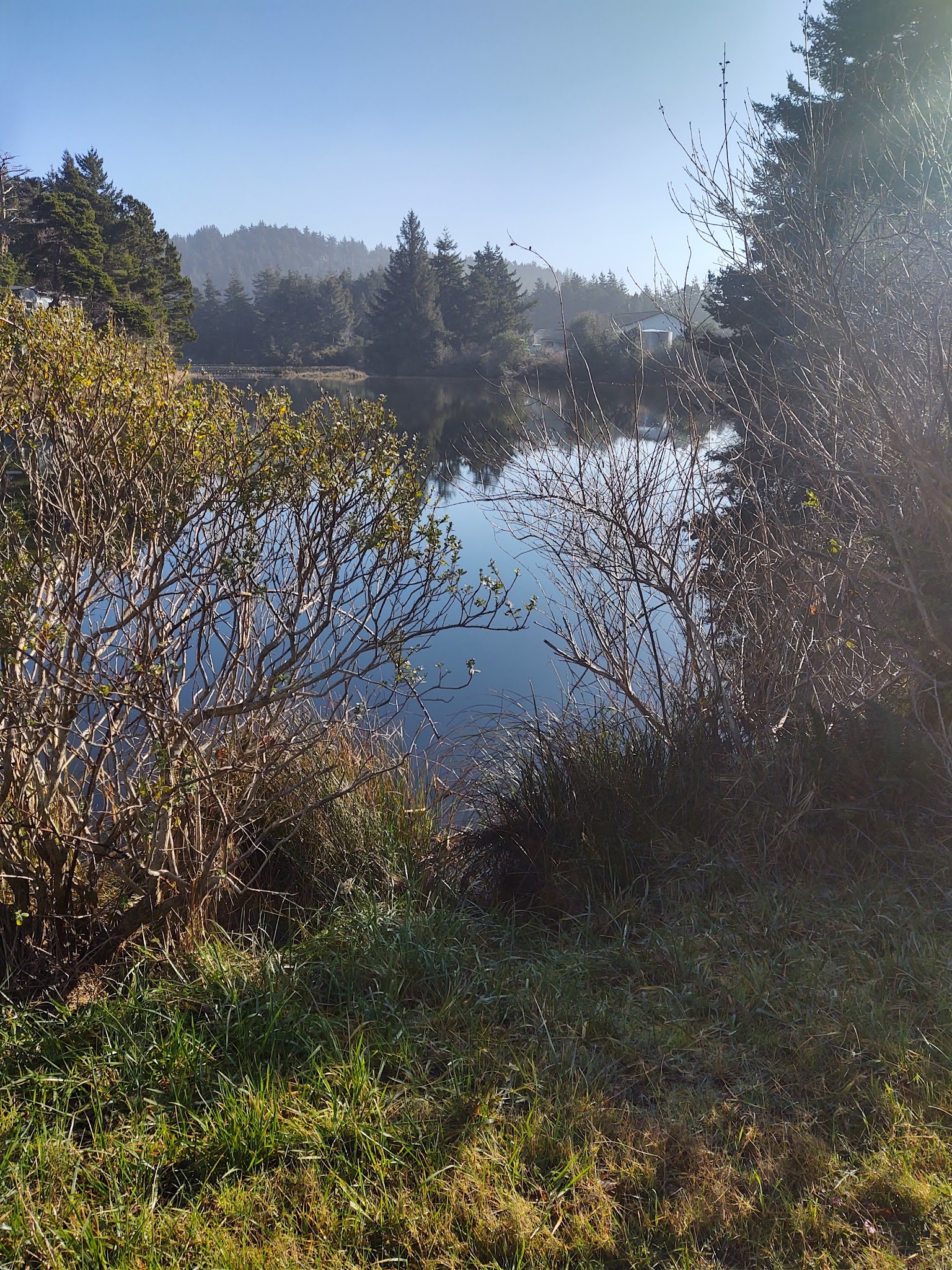 Dog park - Port Orford, OR