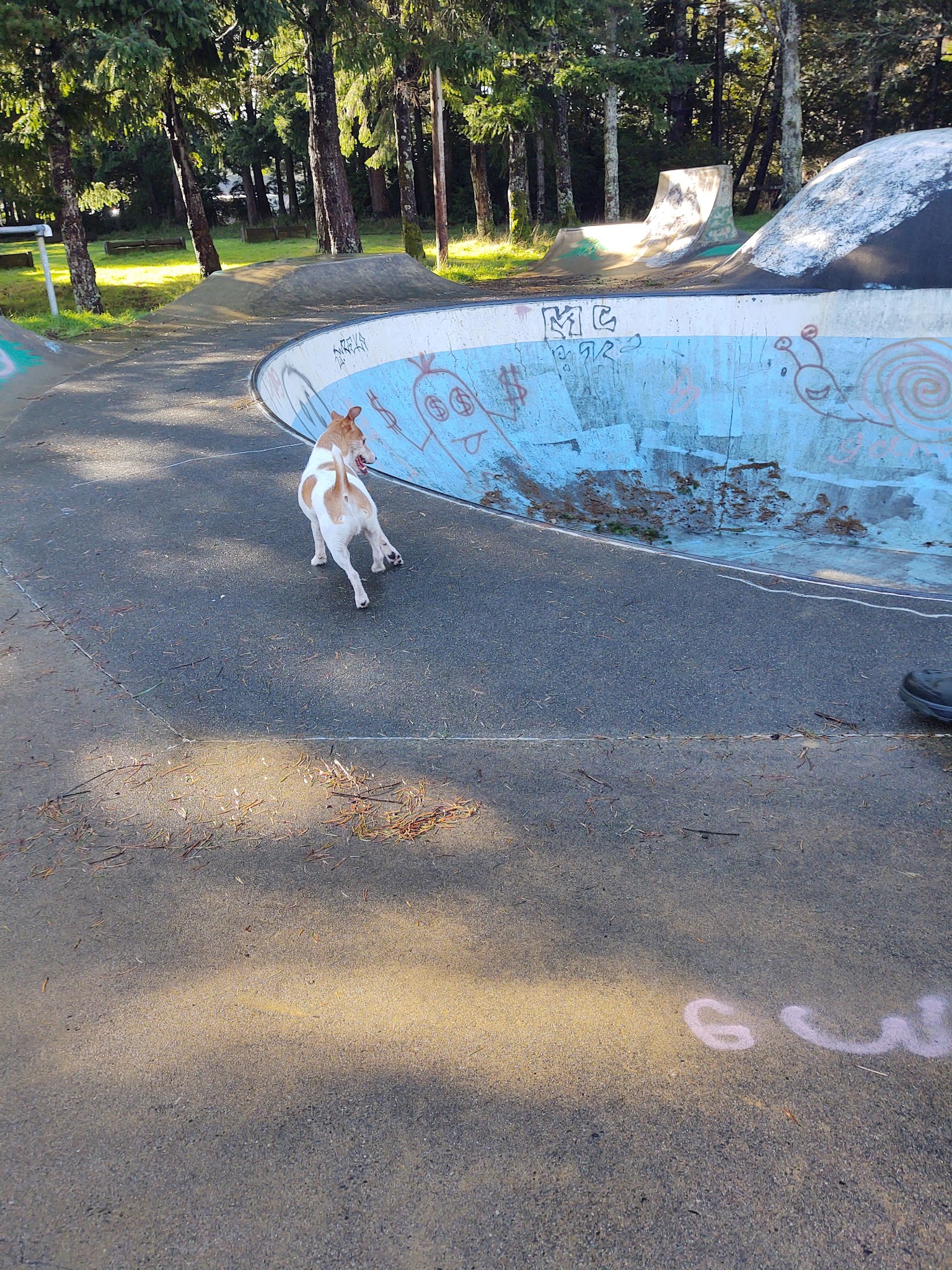 Dog park - Port Orford, OR