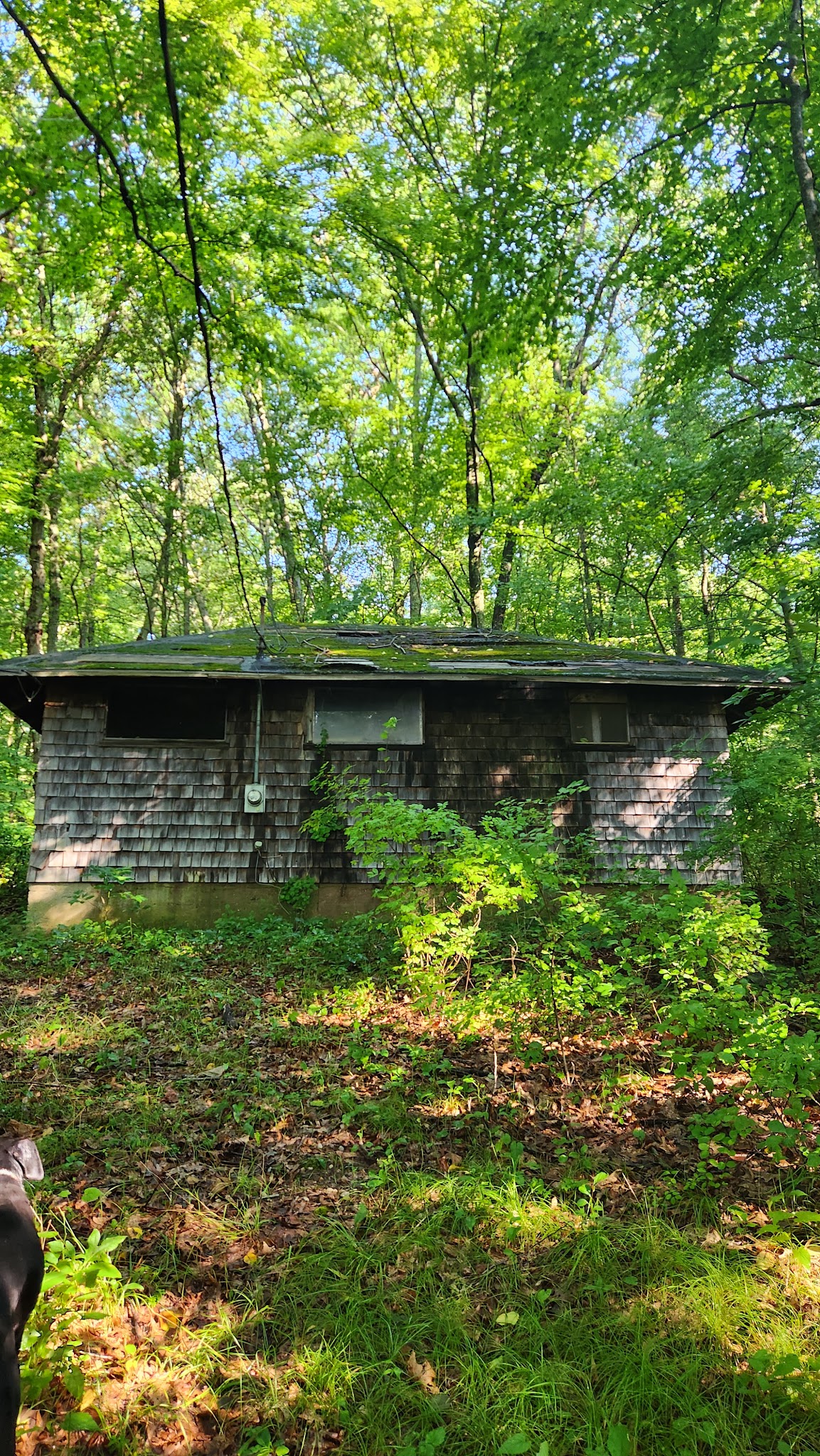 CT State Forest Red 3 Trail - Portland, CT