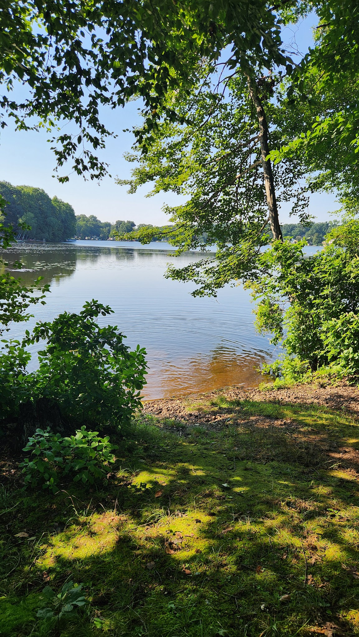 CT State Forest Red 3 Trail - Portland, CT