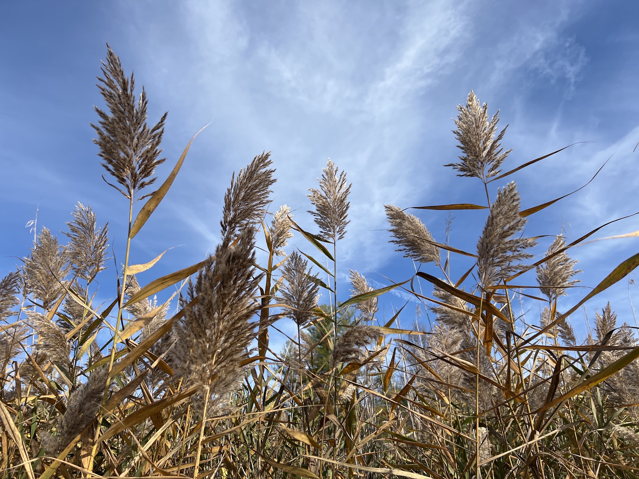 Portland Reservoir - Portland, CT