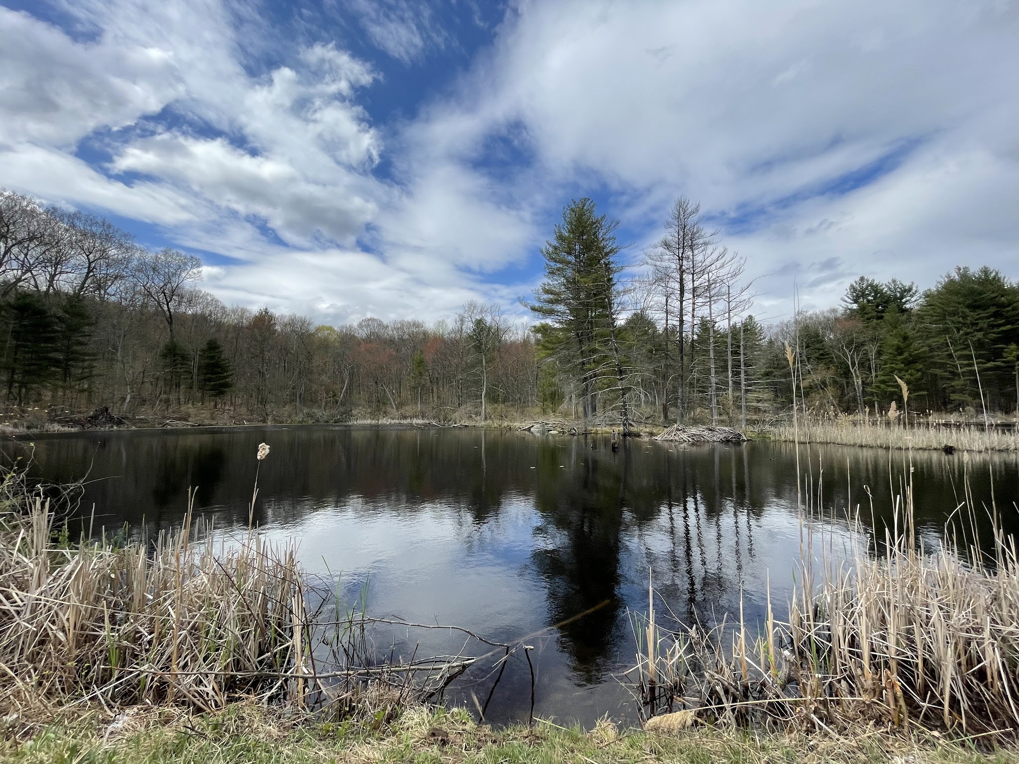Portland Reservoir - Portland, CT