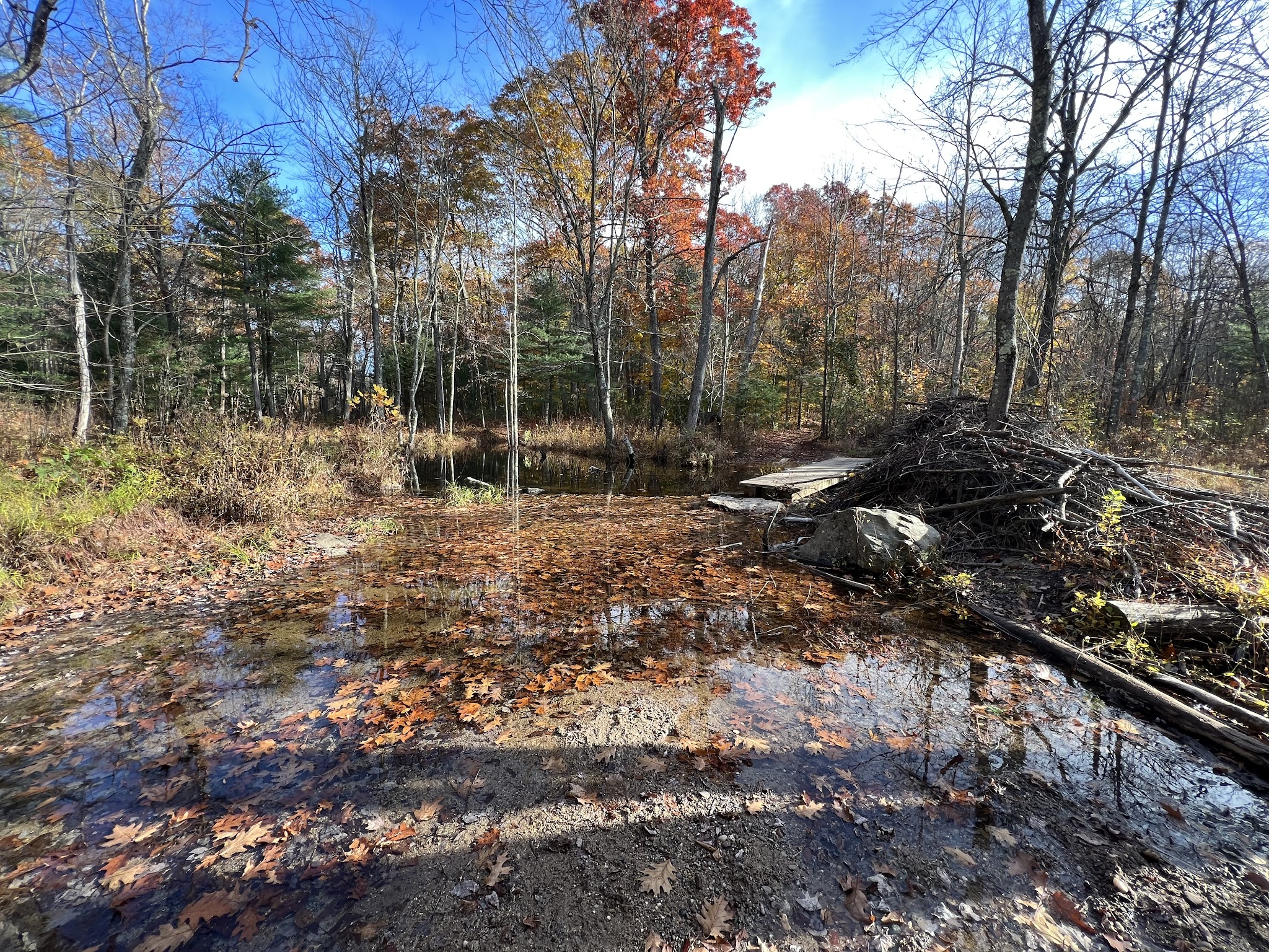 Portland Reservoir - Portland, CT