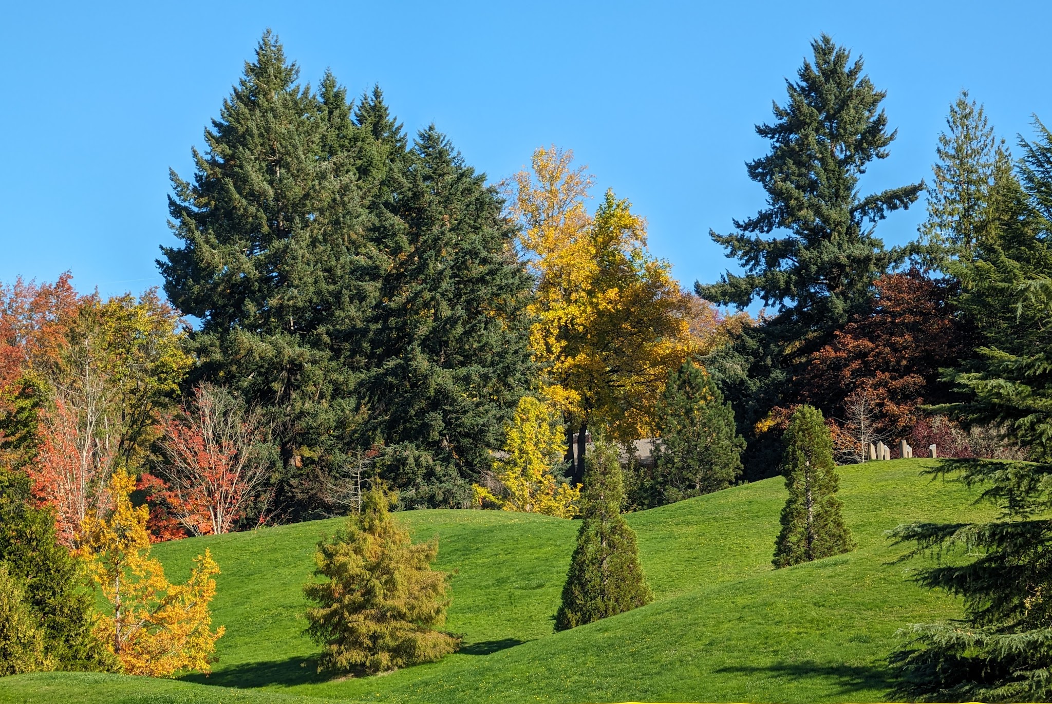 Gabriel Park - Portland, OR