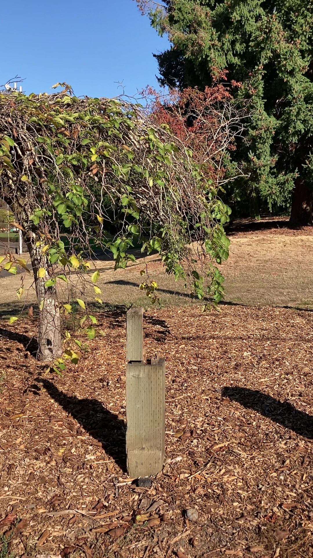 Kenilworth Park - Portland, OR