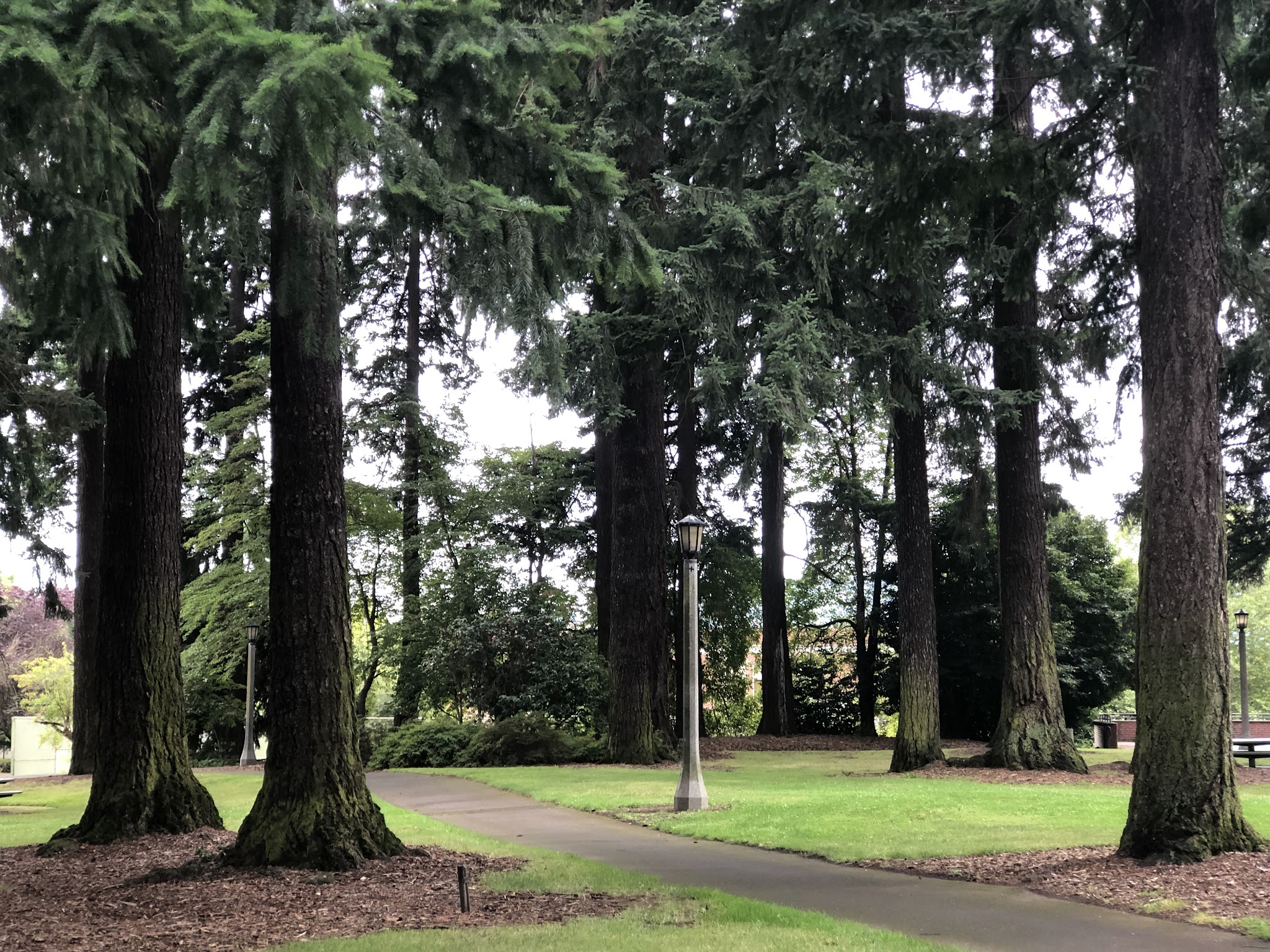 Kenilworth Park - Portland, OR