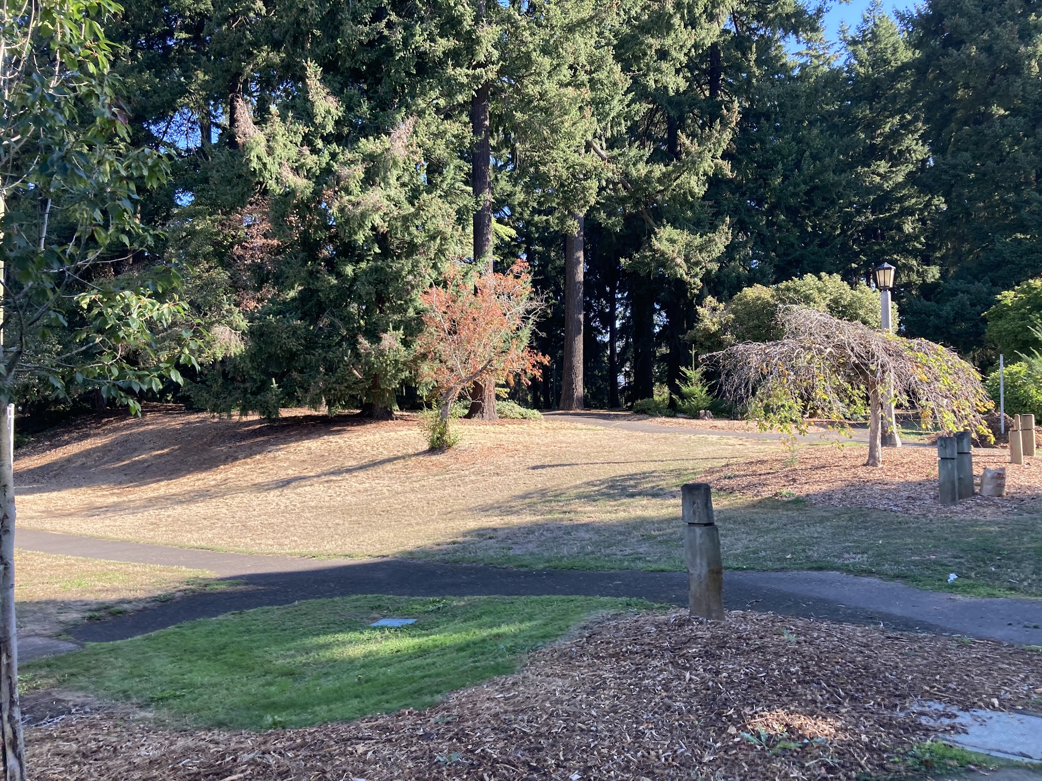 Kenilworth Park - Portland, OR