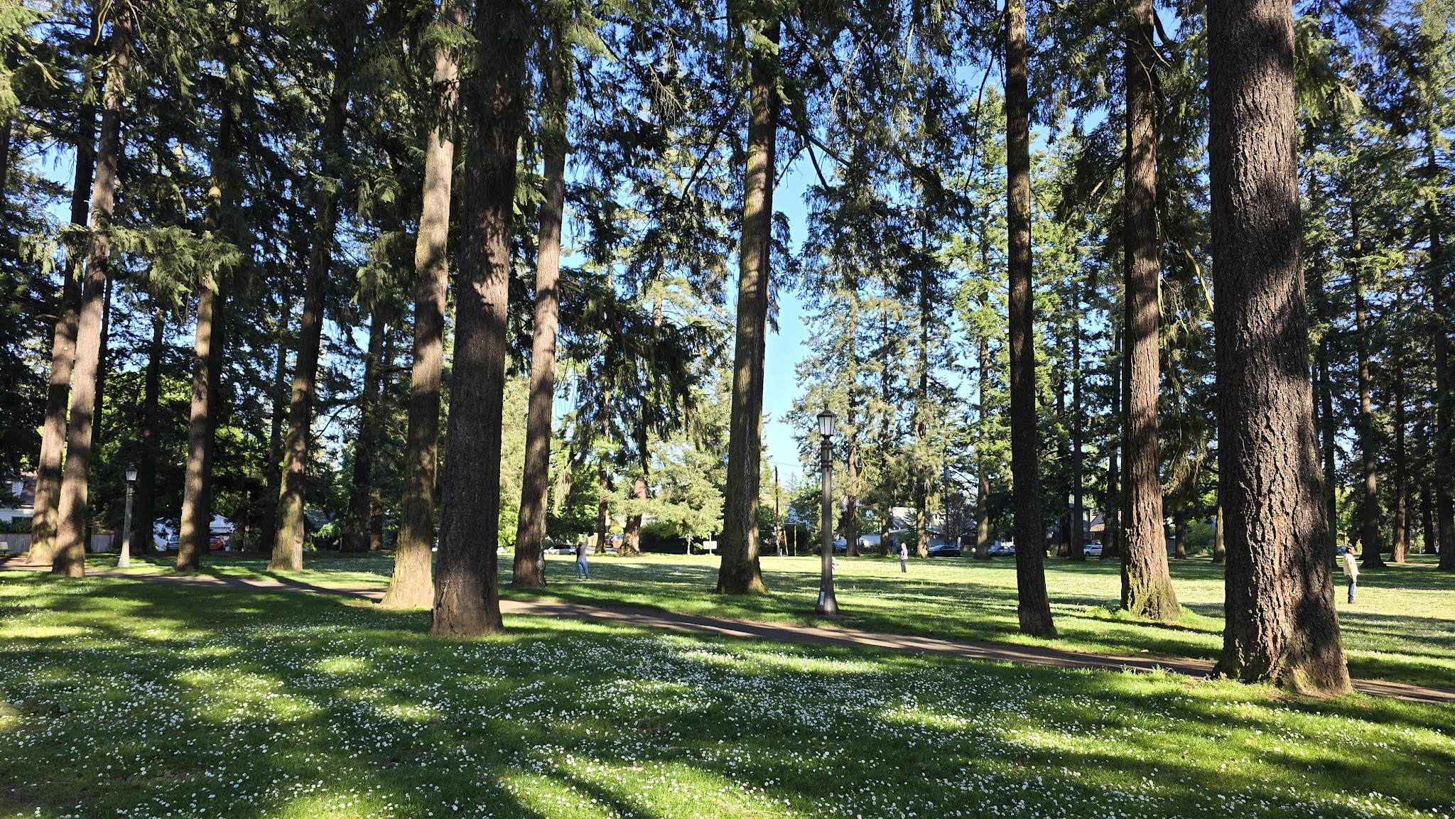 Mt. Scott Park - Portland, OR