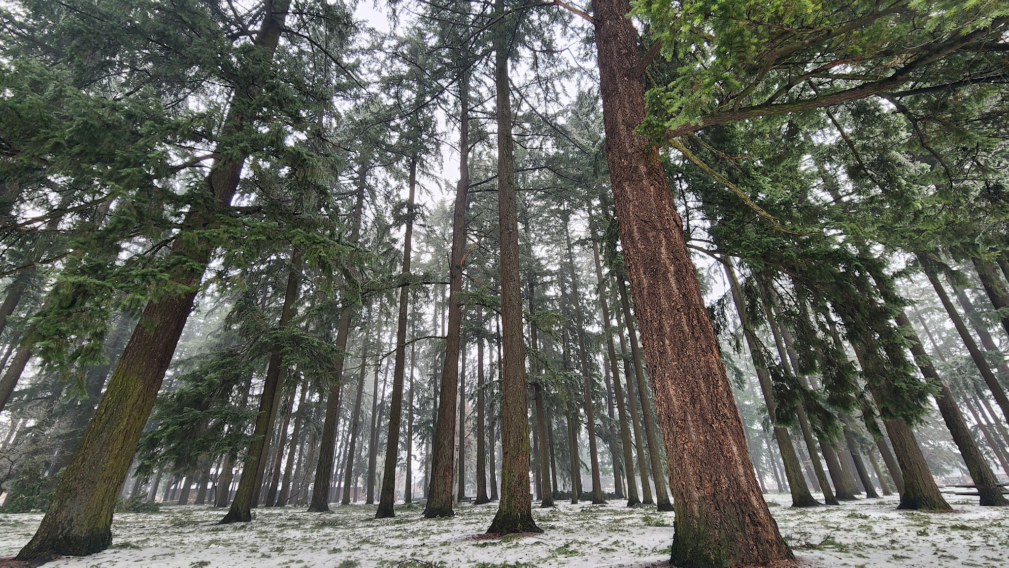 Mt. Scott Park - Portland, OR