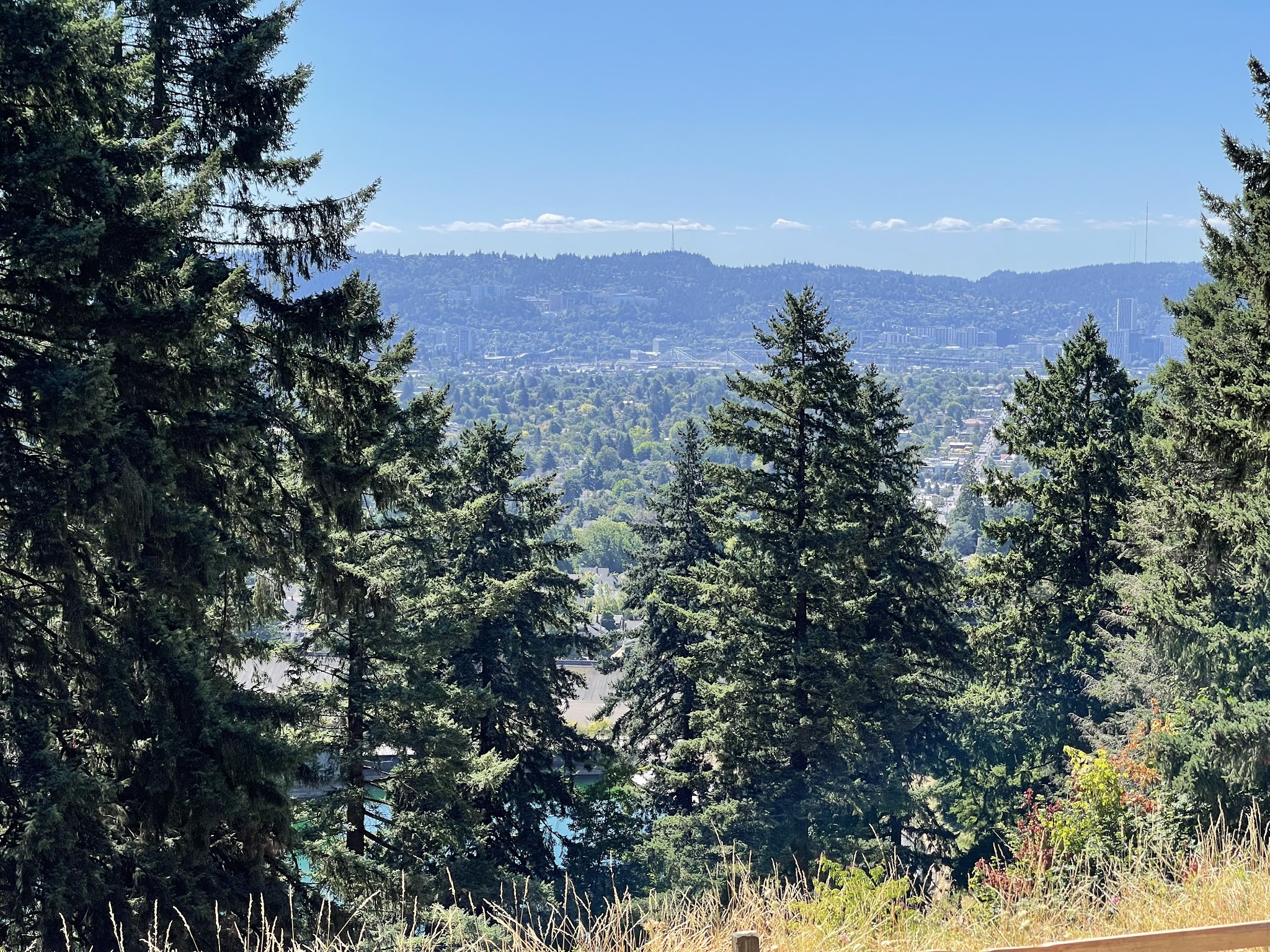Mt. Tabor Park - Portland, OR