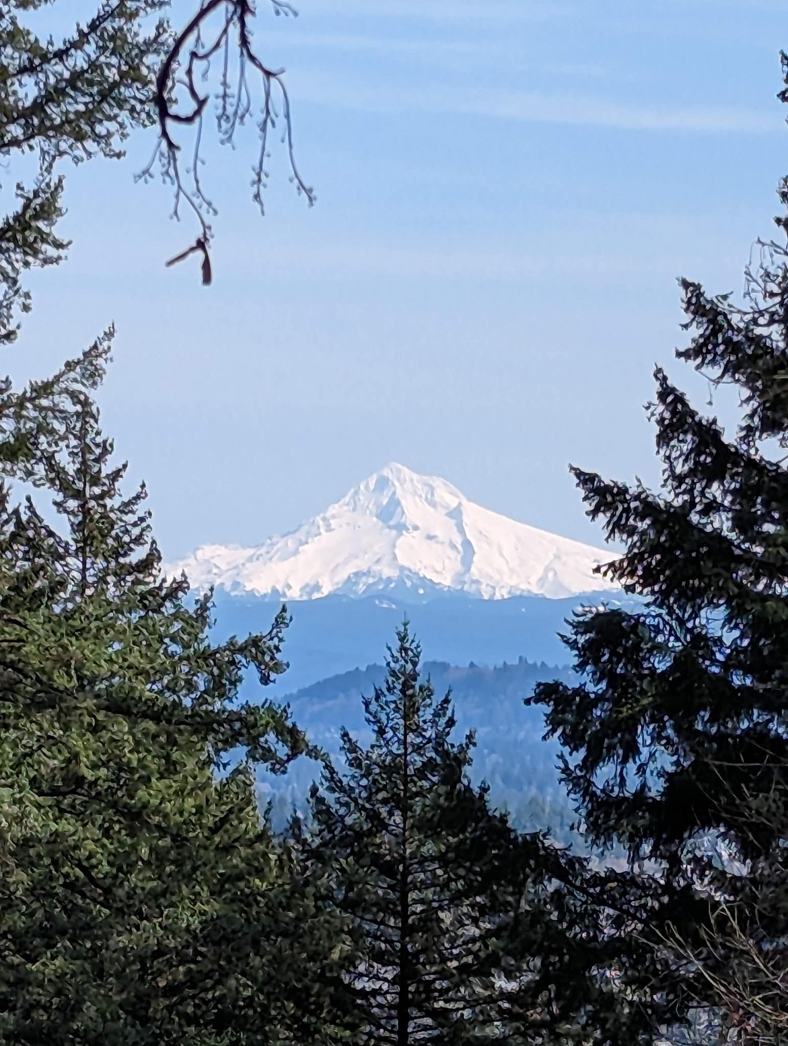 Mt. Tabor Park - Portland, OR