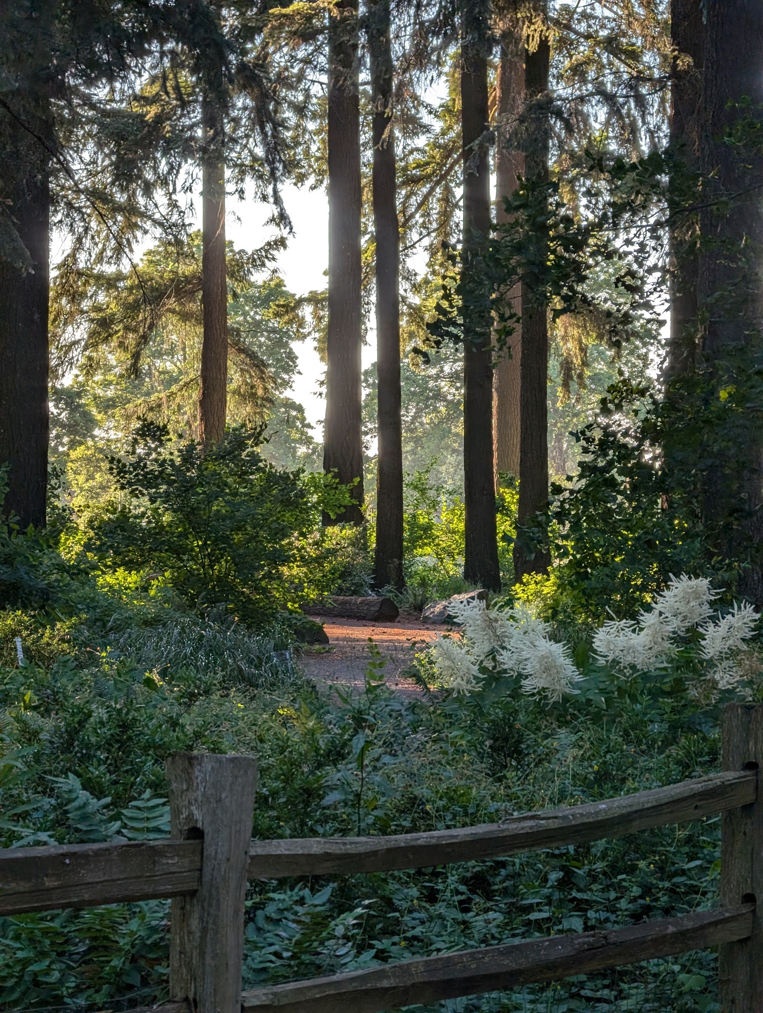 Alberta Park - Portland, OR