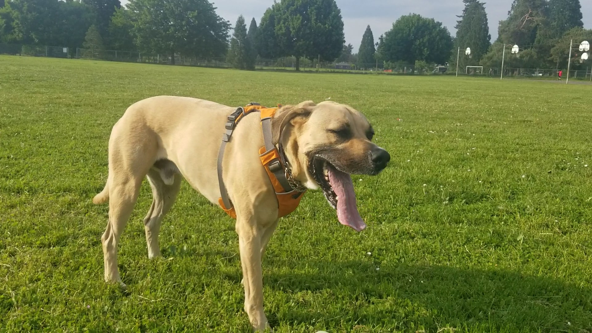 Brentwood City Park - Portland, OR