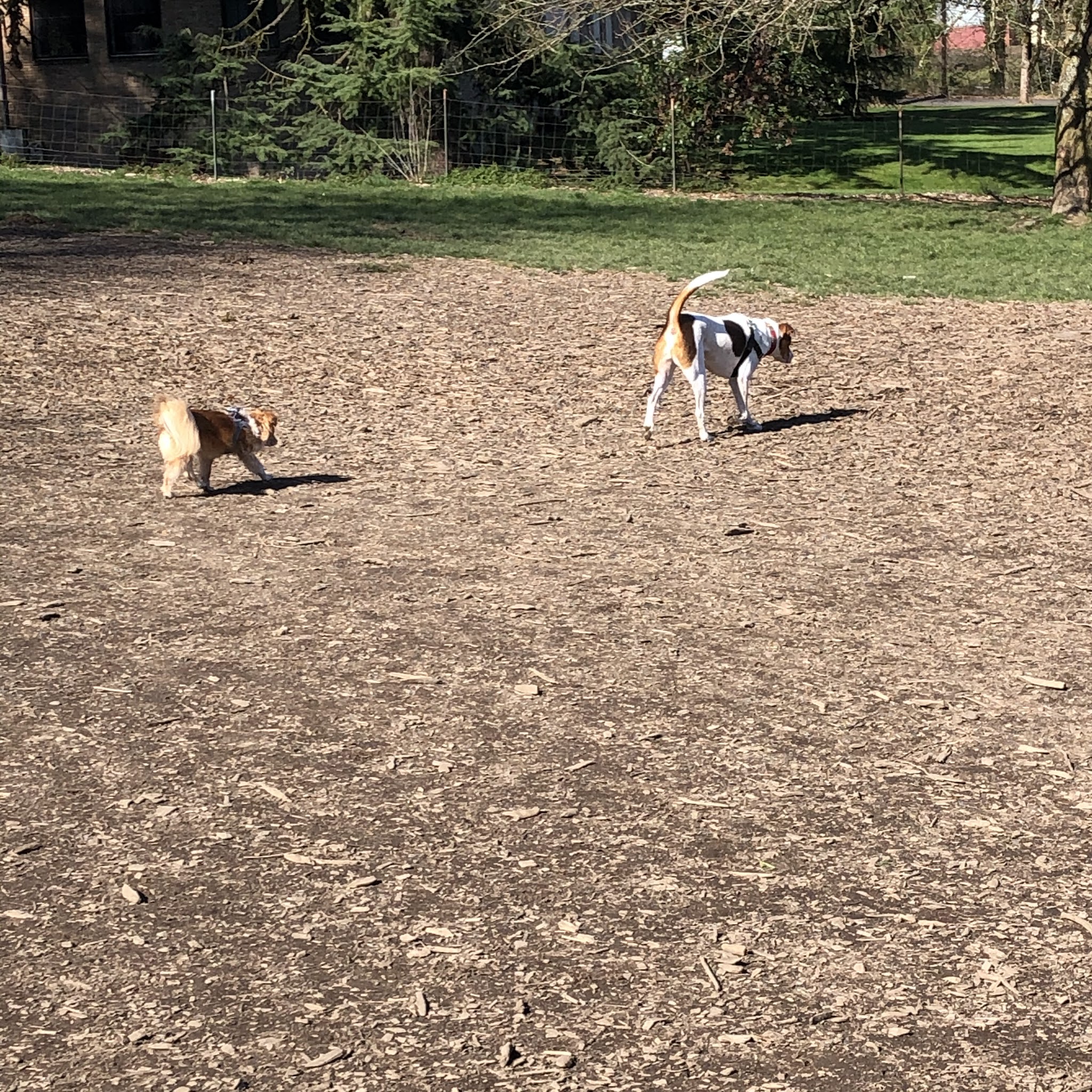 Chimney Park - Portland, OR