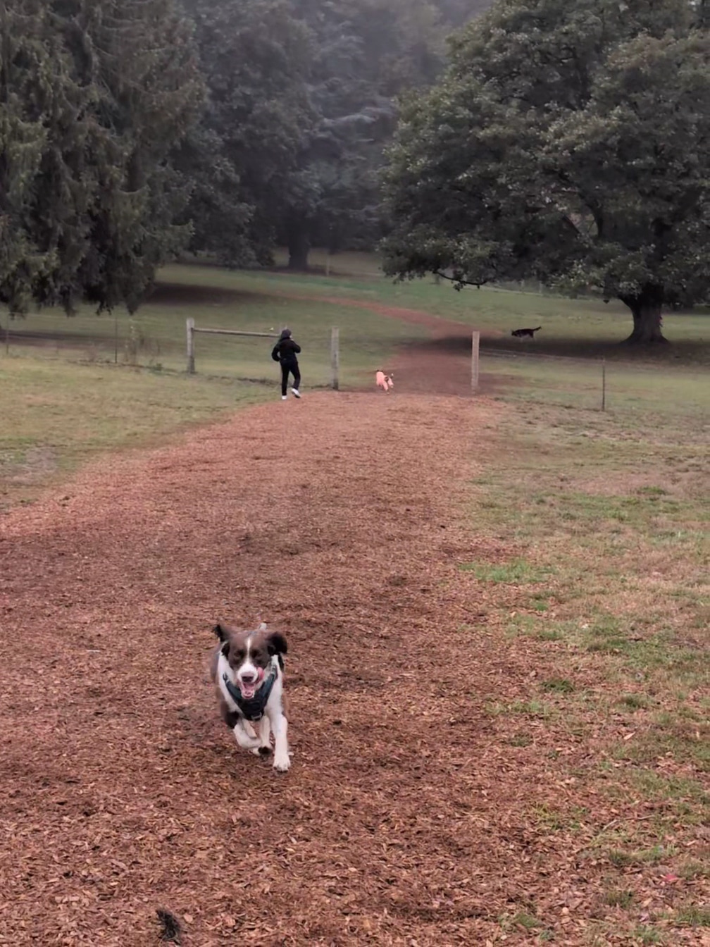 Chimney Park - Portland, OR