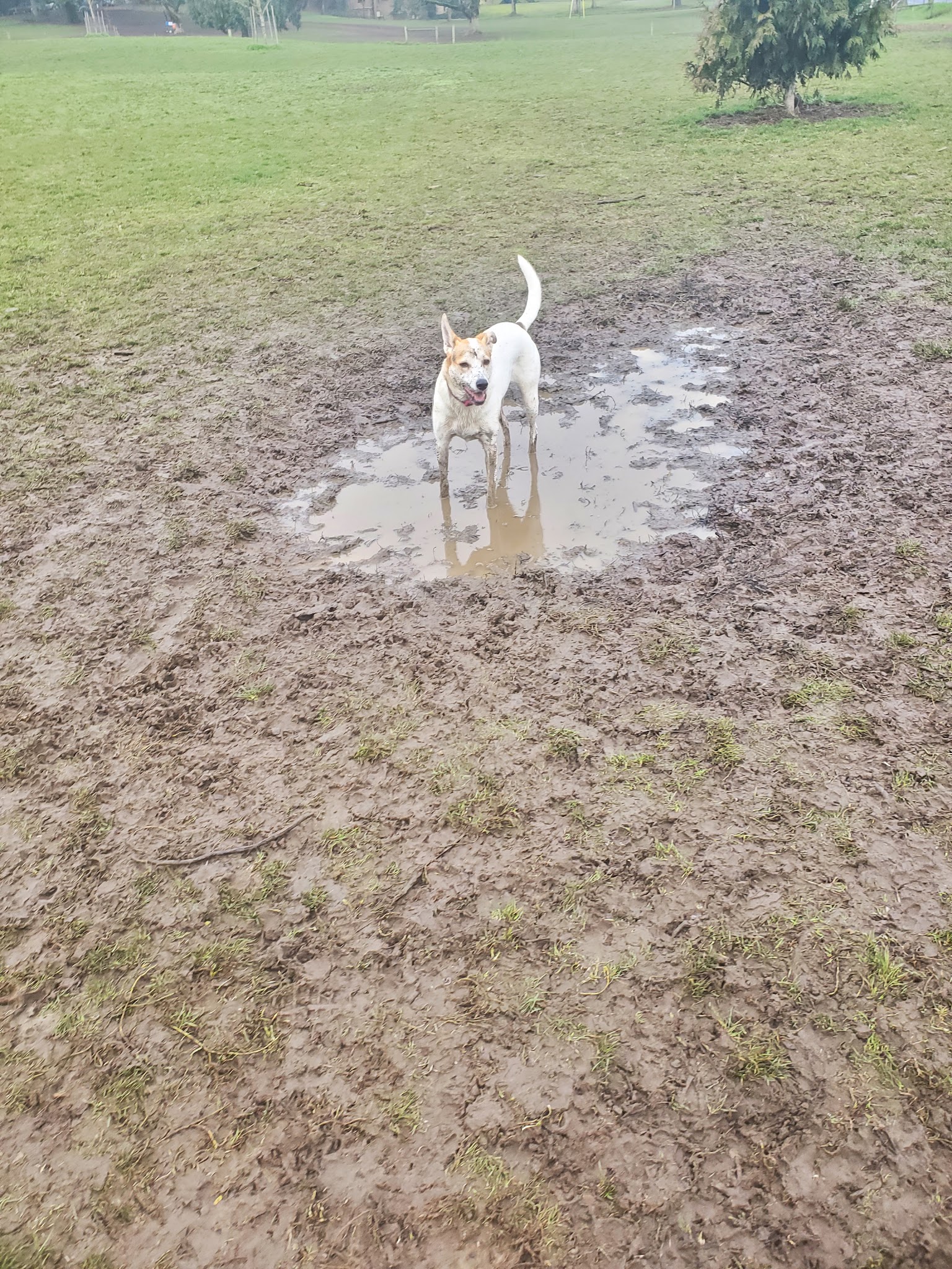 Chimney Park - Portland, OR