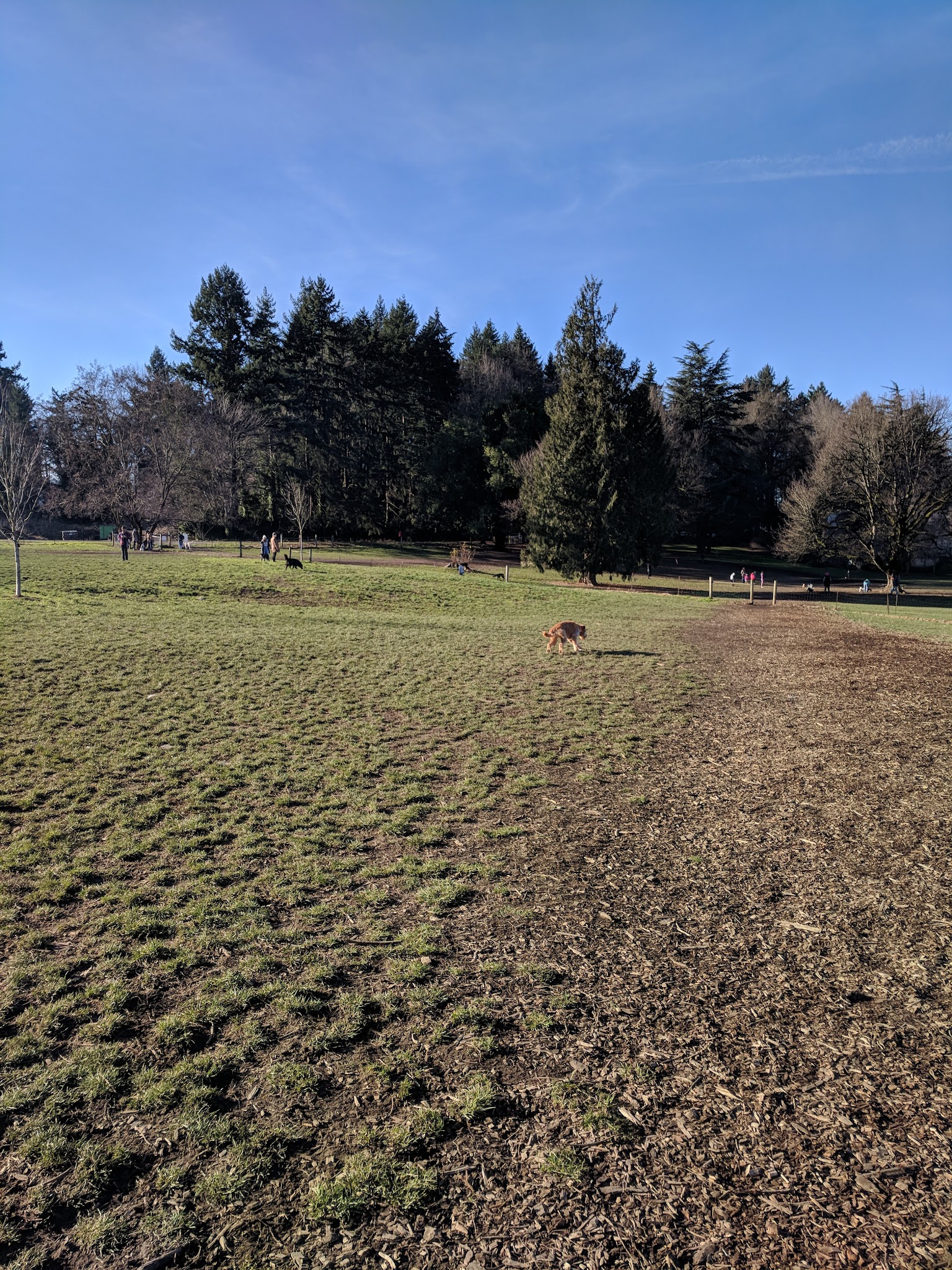 Chimney Park - Portland, OR