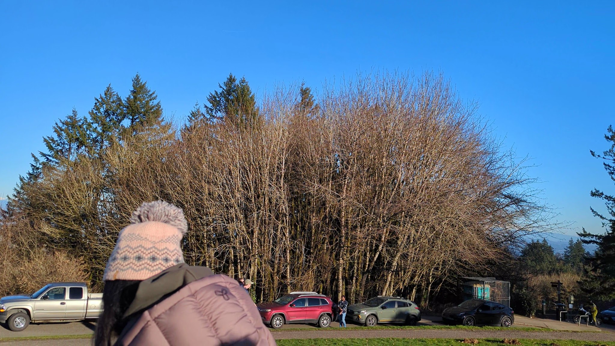 Council Crest Park - Portland, OR