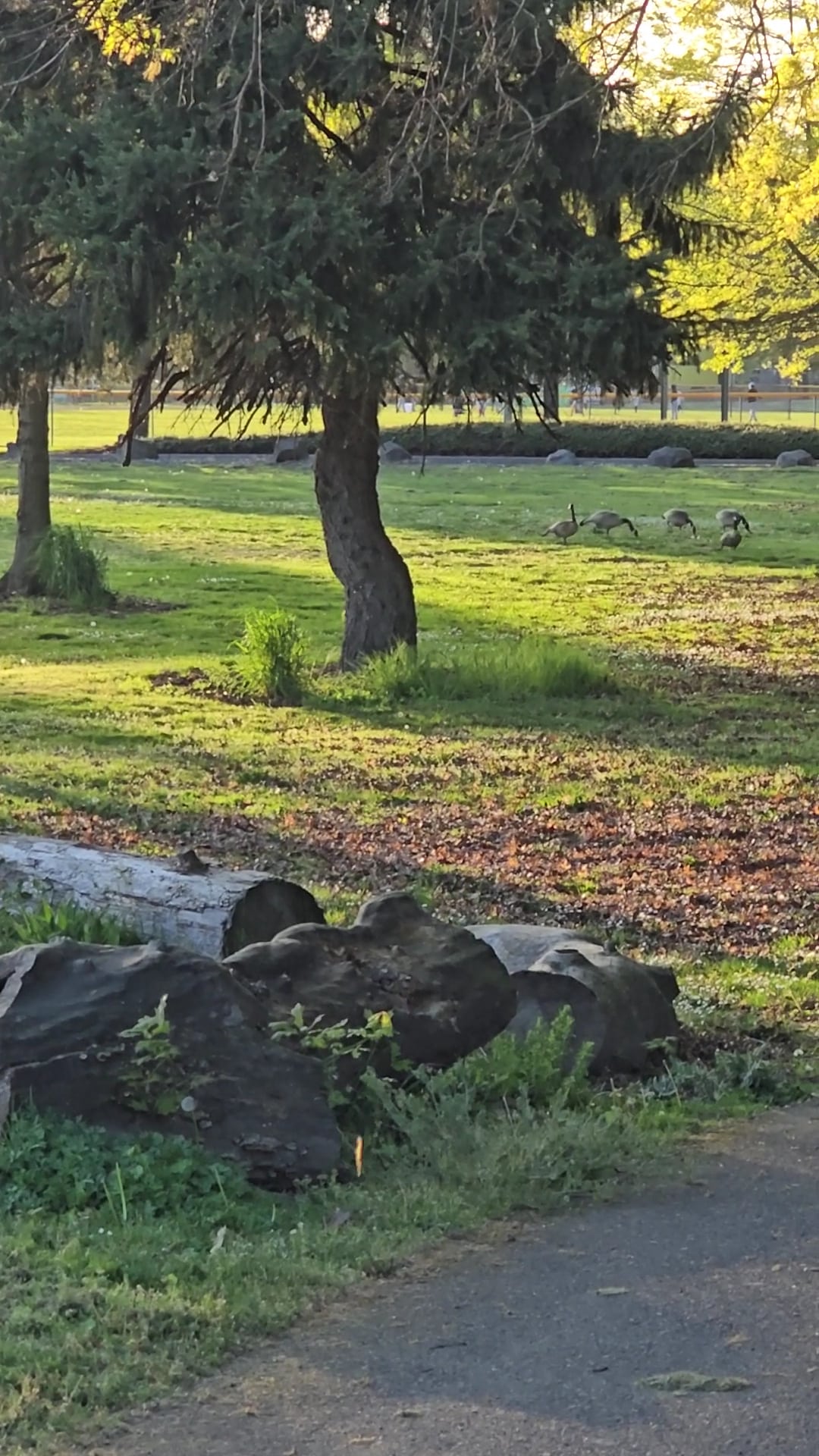 Delta Park - Portland, OR