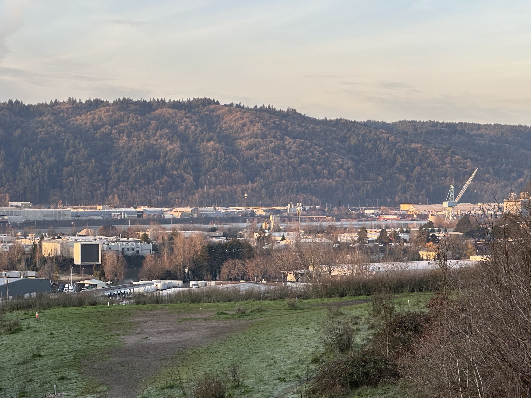 Dog Bowl - Portland, OR