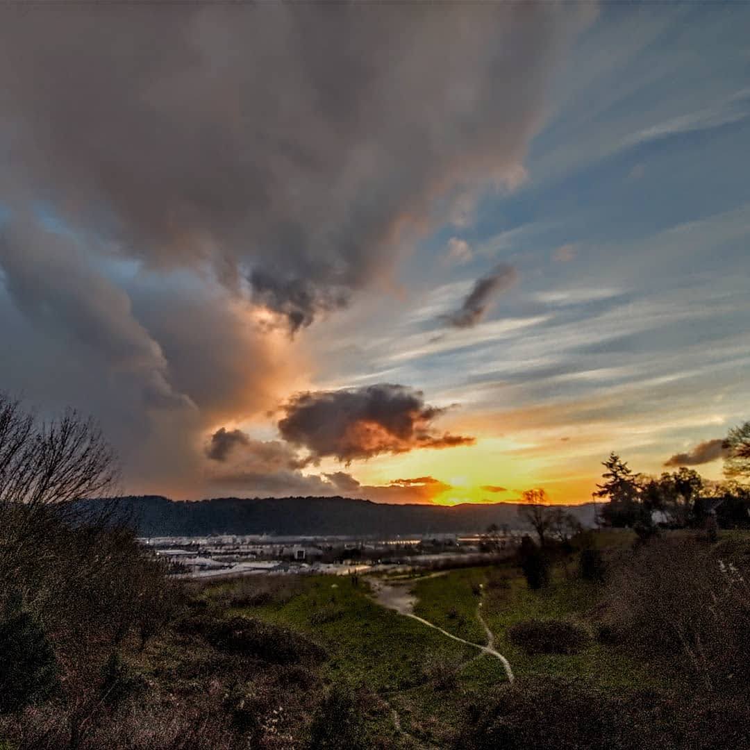 Dog Bowl - Portland, OR