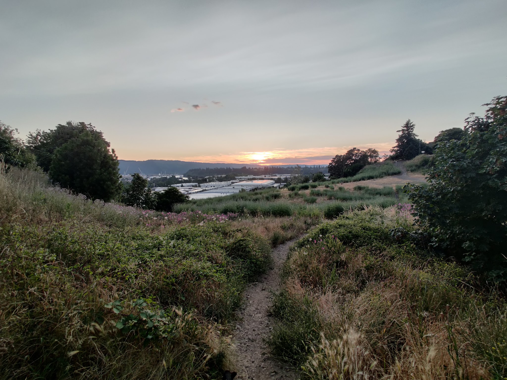 Dog Bowl - Portland, OR