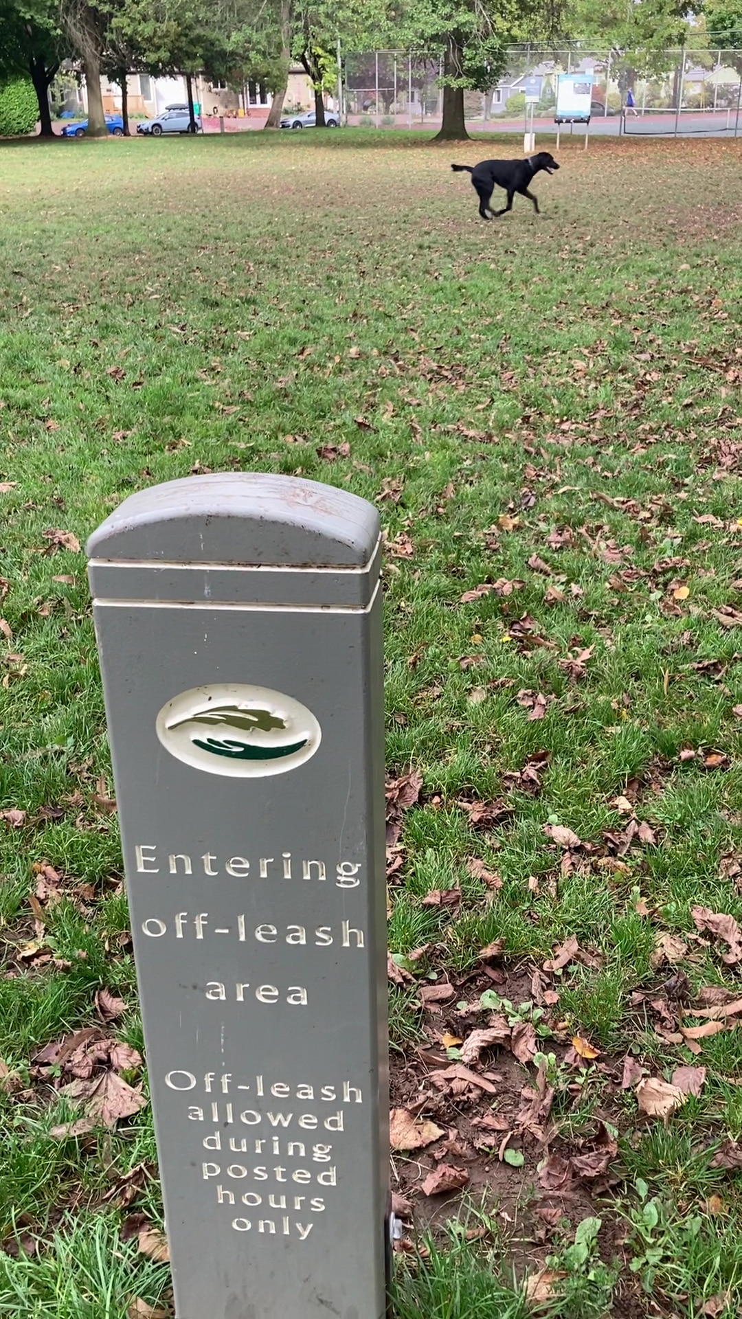 Dog Off-Leash Area - Portland, OR